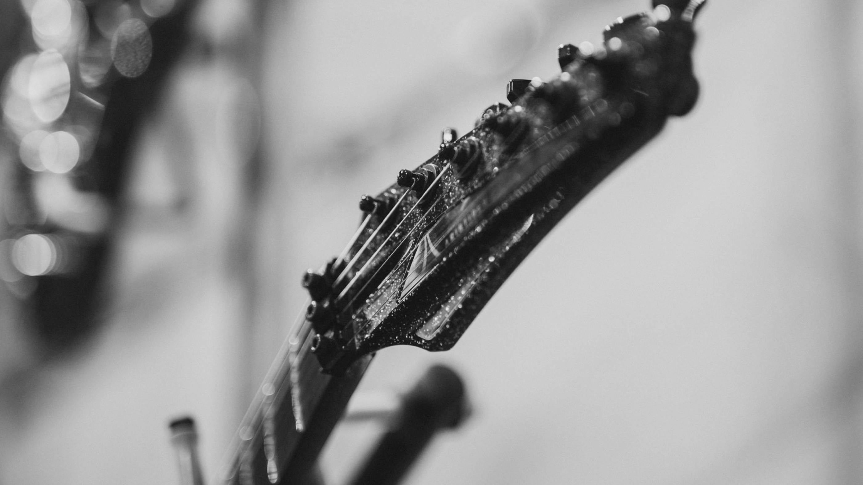 Aristides Guitars E-Commerce — Изображение №10 — Интерфейсы, Анимация на Dprofile