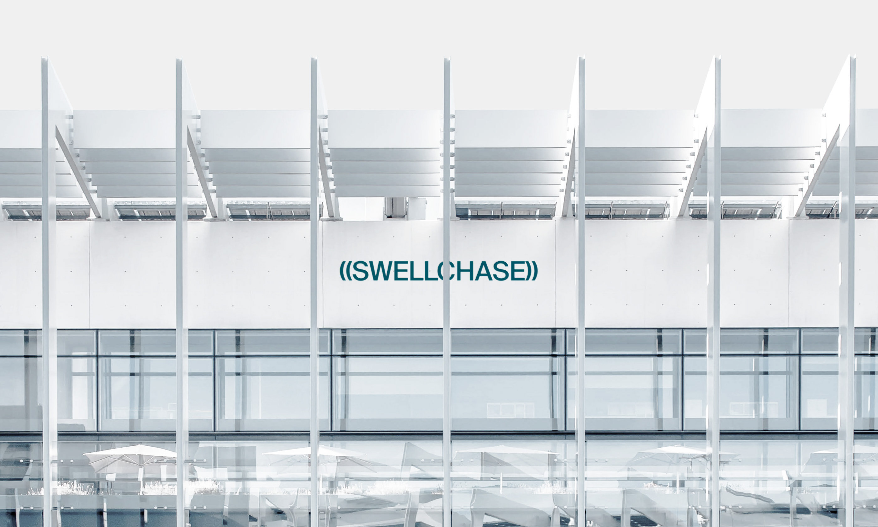 Swell Chase — Изображение №16 — Брендинг на Dprofile