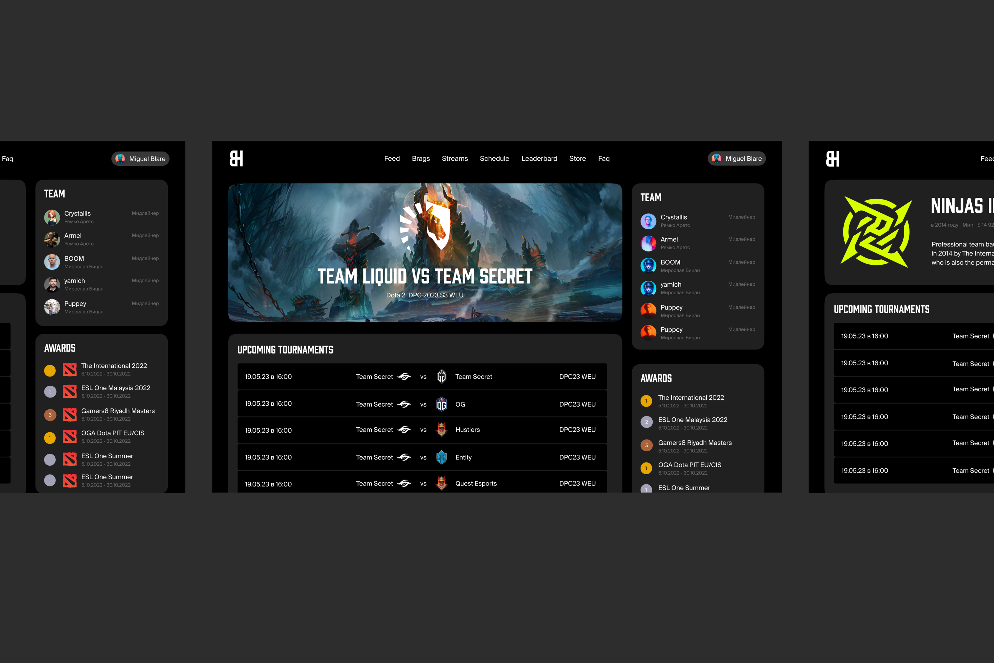 Brag House eSports — Изображение №2 — Интерфейсы на Dprofile