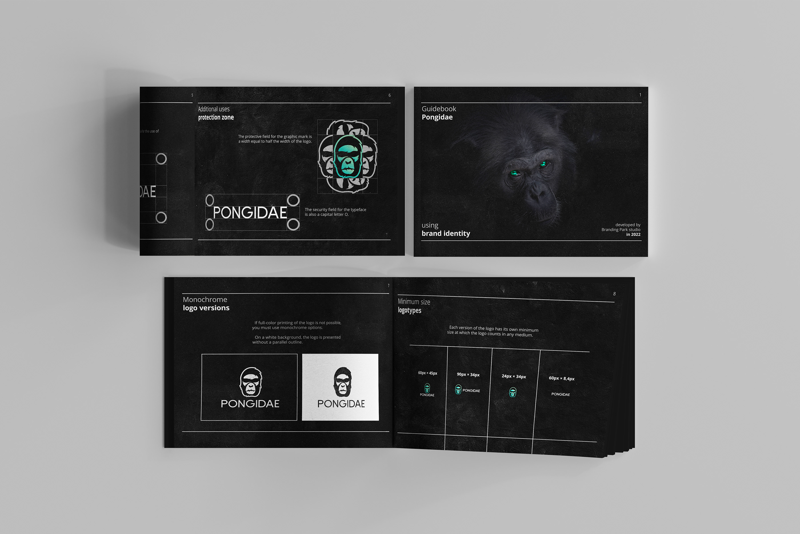 Pongidae Guideline — Изображение №5 — Брендинг, Графика на Dprofile