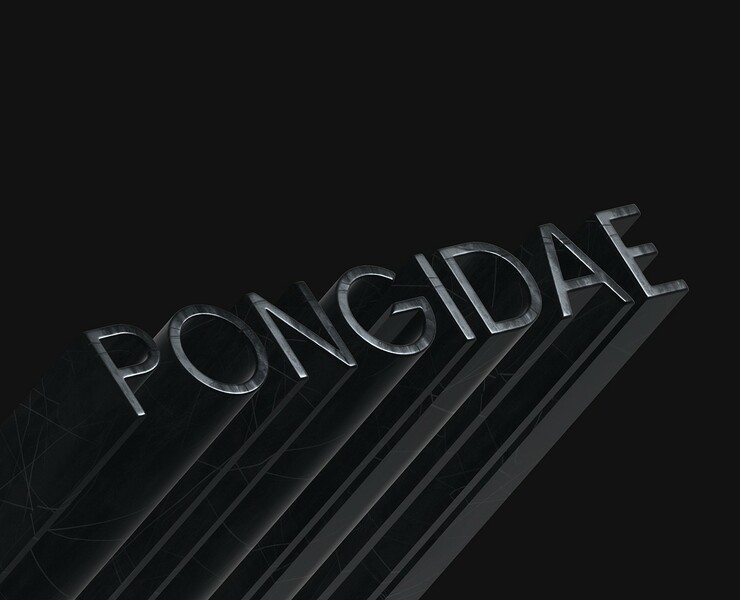 Pongidae Guideline — Брендинг, Графика на Dprofile