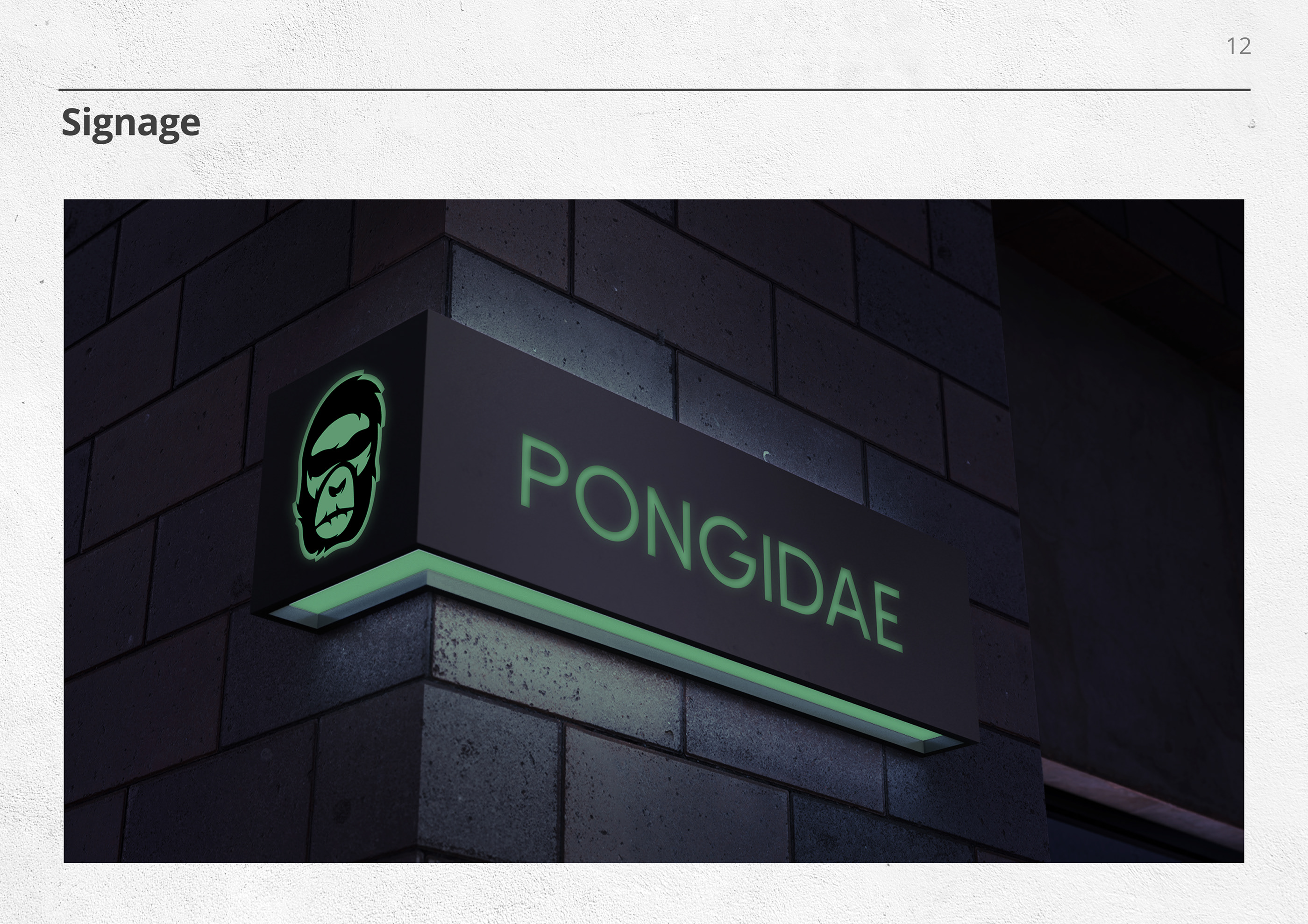 Pongidae Guideline — Изображение №21 — Брендинг, Графика на Dprofile