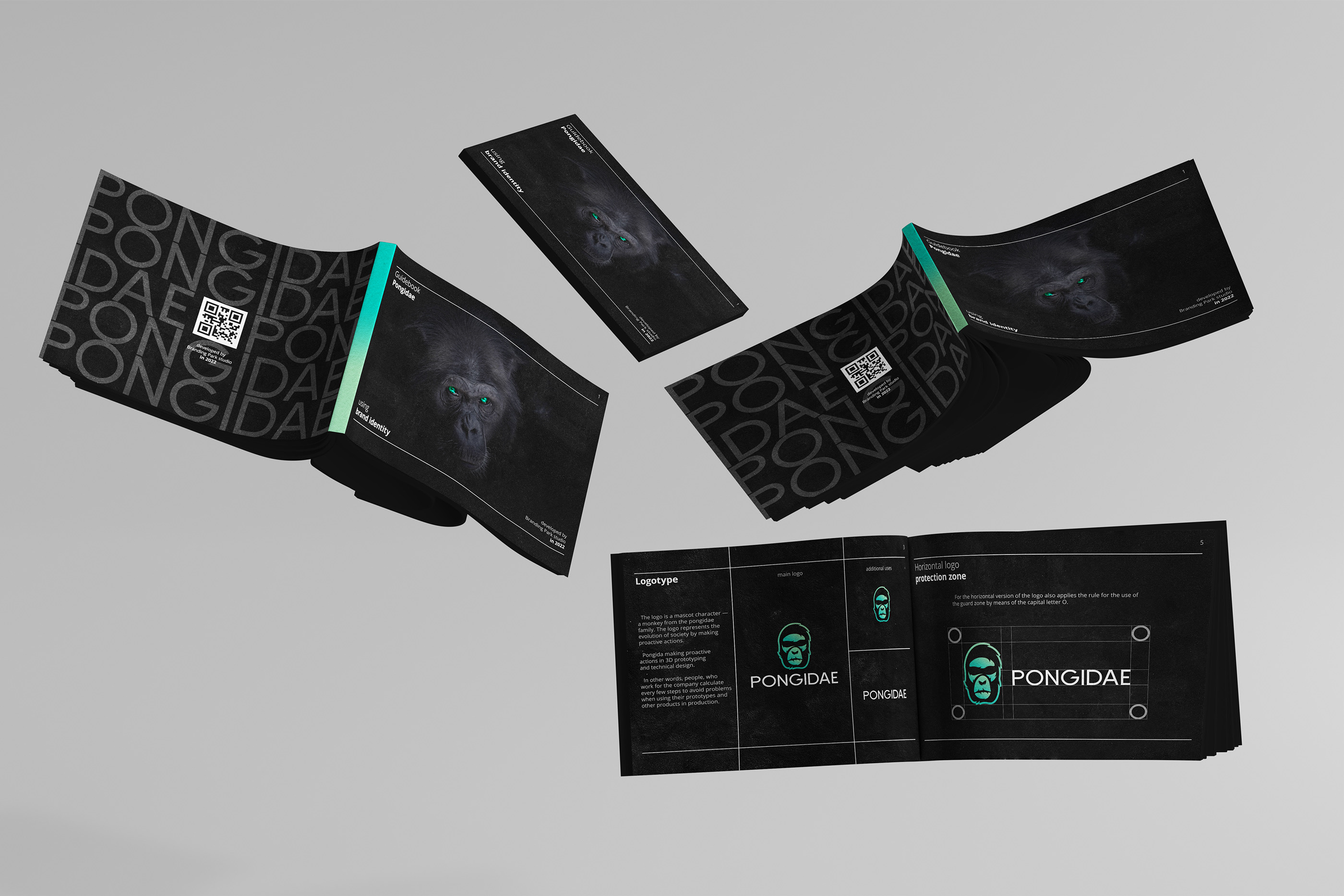 Pongidae Guideline — Изображение №4 — Брендинг, Графика на Dprofile