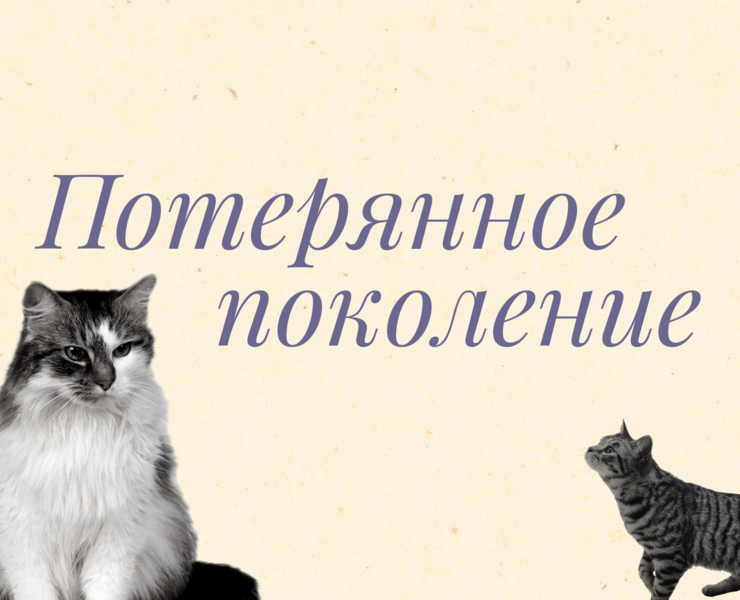 Лонгрид про потерянное поколение на Dprofile