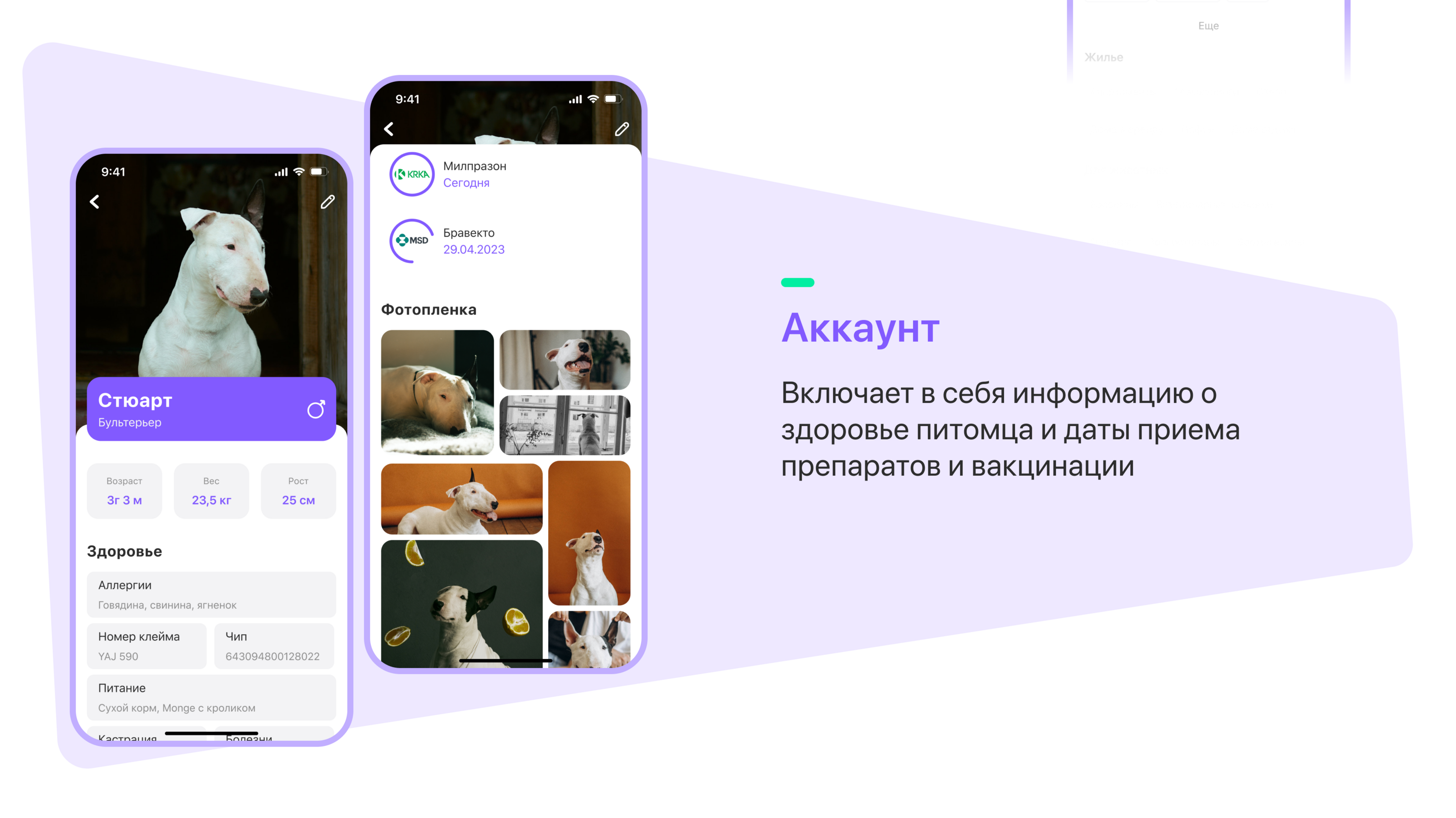 APP Dog-friendly map — Изображение №12 — Интерфейсы на Dprofile
