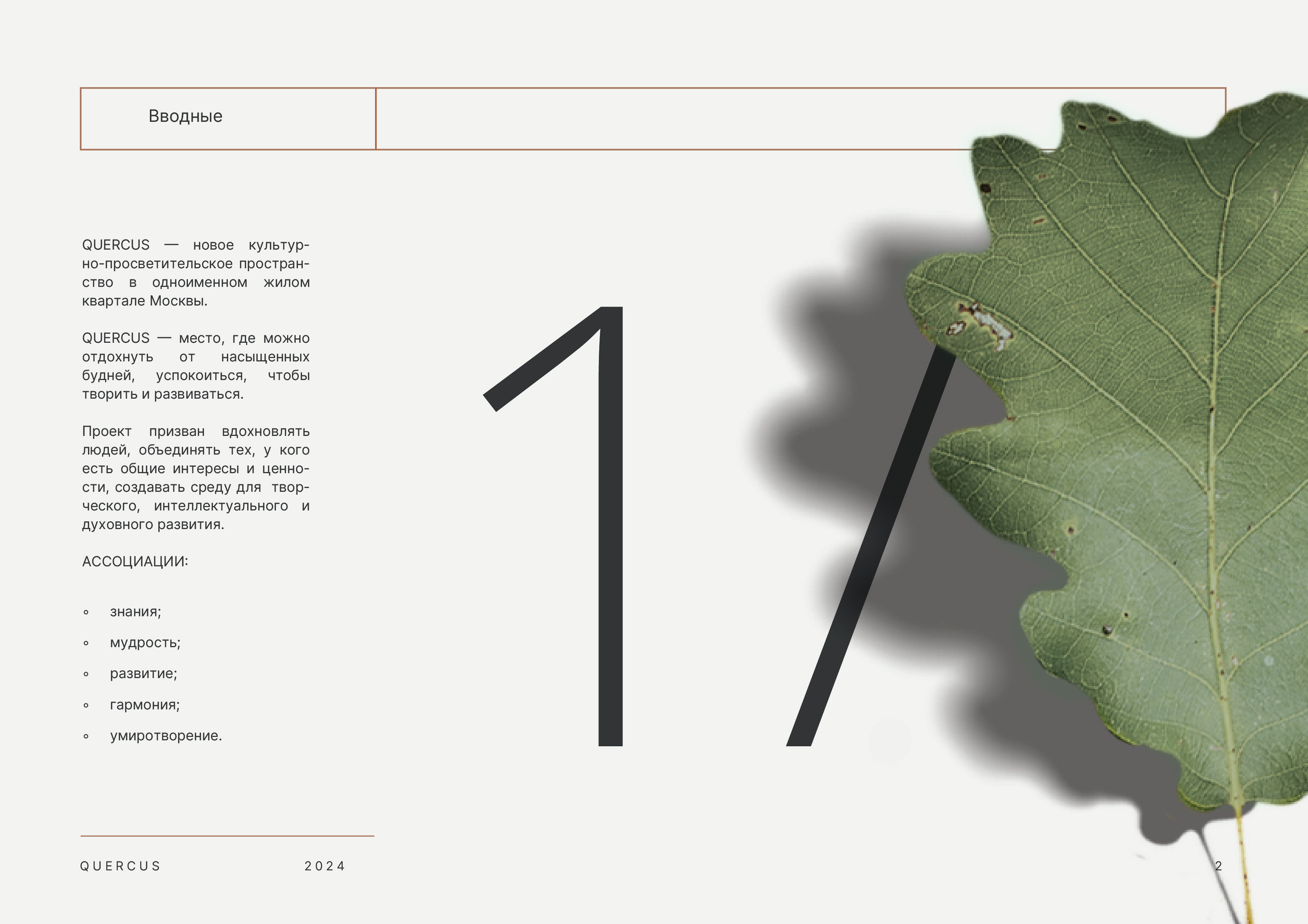 Фирменный стиль QUERCUS | QUERCUS Brand Identity — Изображение №2 — Брендинг, Графика на Dprofile