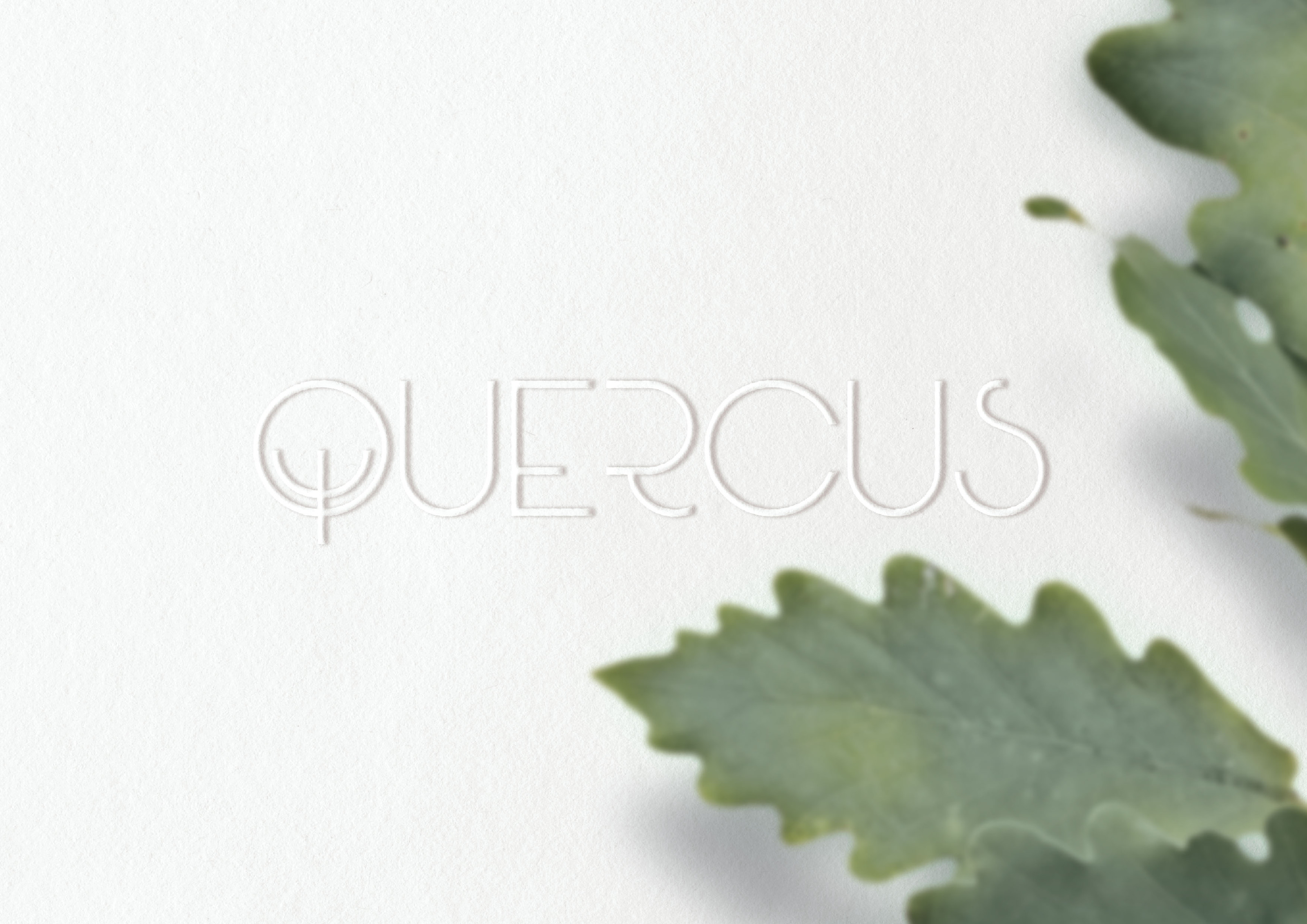 Фирменный стиль QUERCUS | QUERCUS Brand Identity — Изображение №18 — Брендинг, Графика на Dprofile
