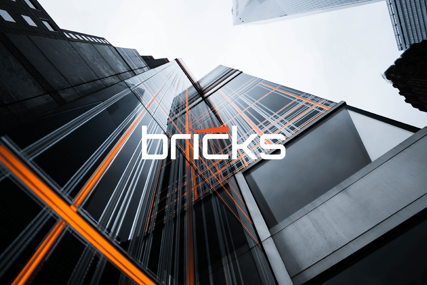 Bricks Identity — Изображение №1 — Брендинг на Dprofile
