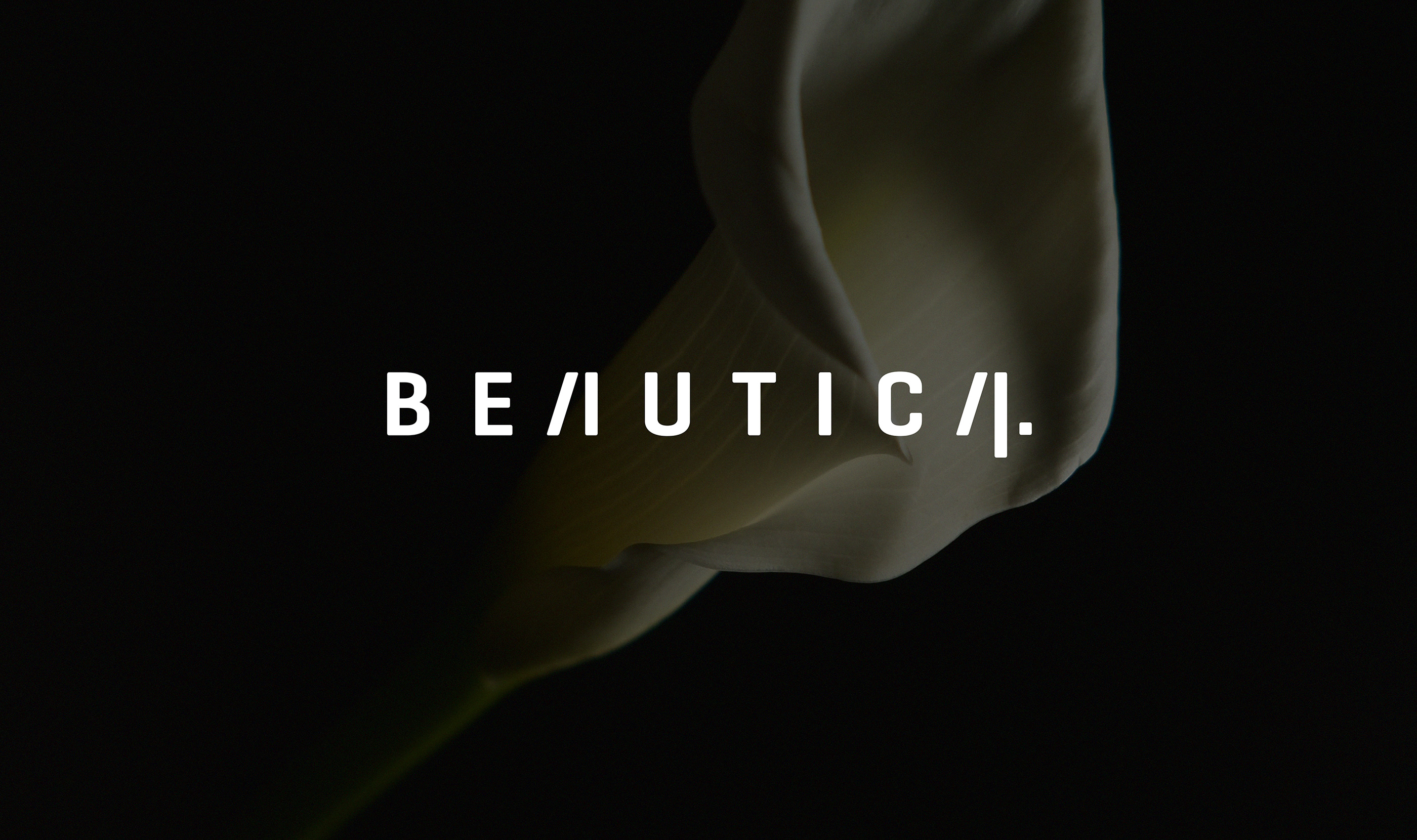 beautica | packaging design — Изображение №5 — Брендинг, Графика на Dprofile