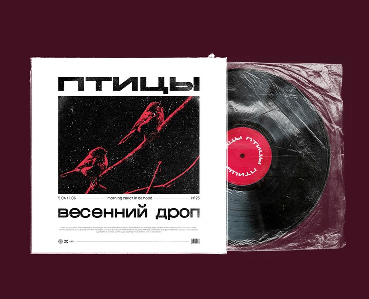 Концепт обложки альбома «Птицы» — Брендинг, Графика на Dprofile