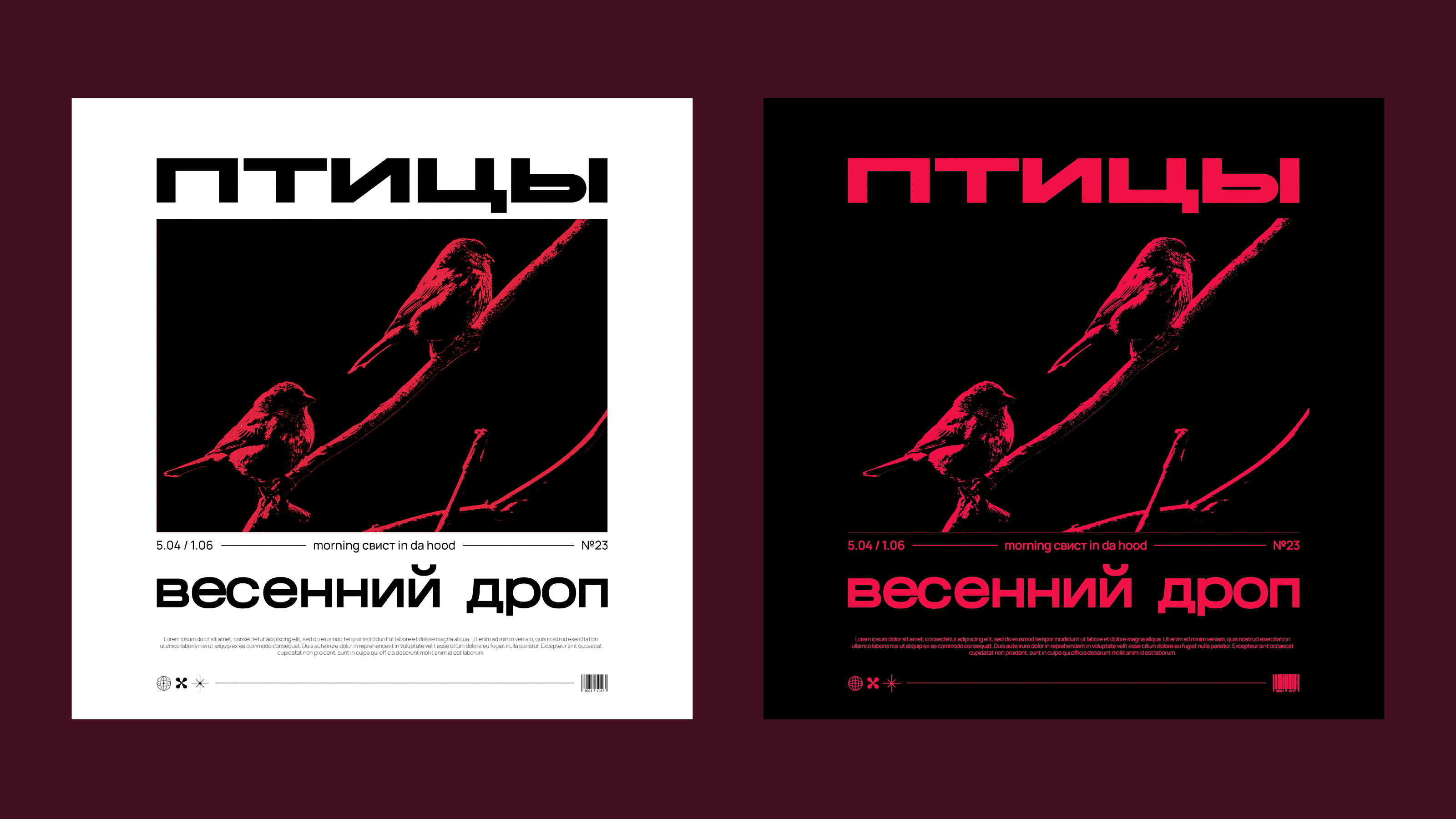Концепт обложки альбома «Птицы» — Изображение №1 — Брендинг, Графика на Dprofile