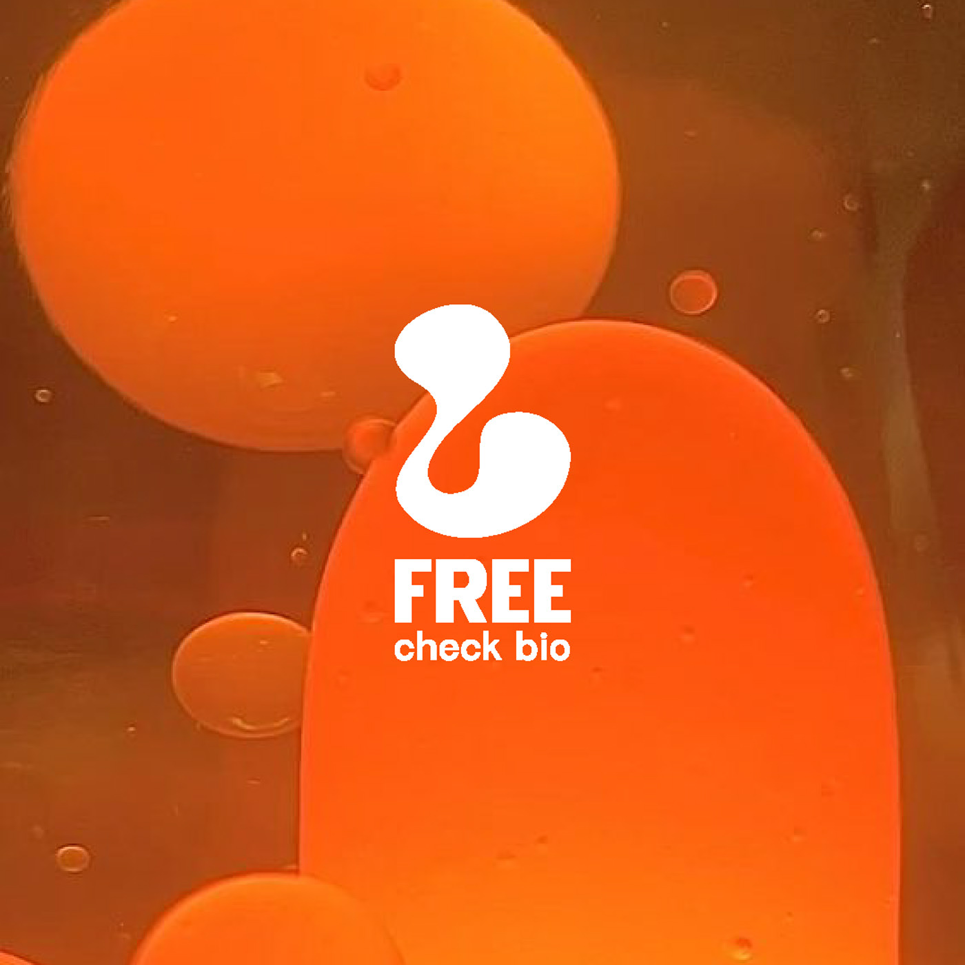 LAVALAMP identity&UI/UX — Изображение №44 — Интерфейсы, Брендинг на Dprofile