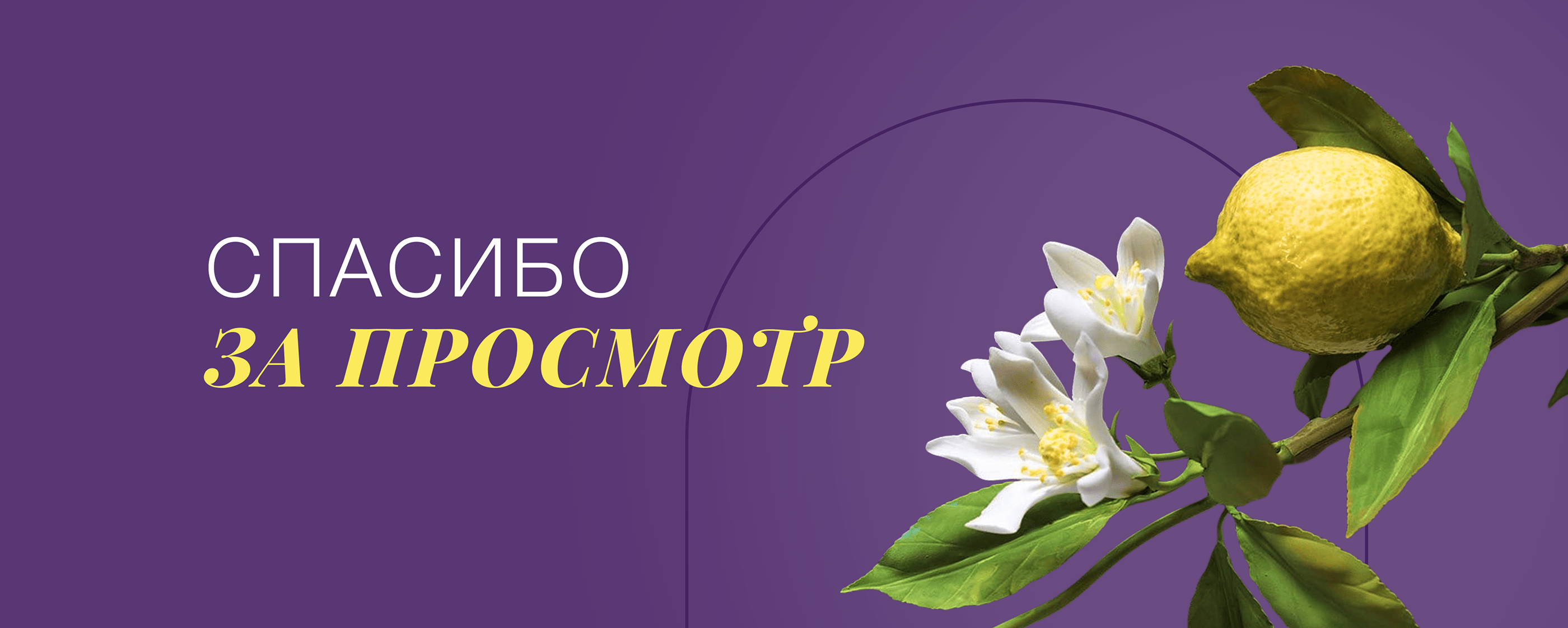 Лента Instagram | Парфюмерный блог — Изображение №4 — Брендинг, Маркетинг на Dprofile