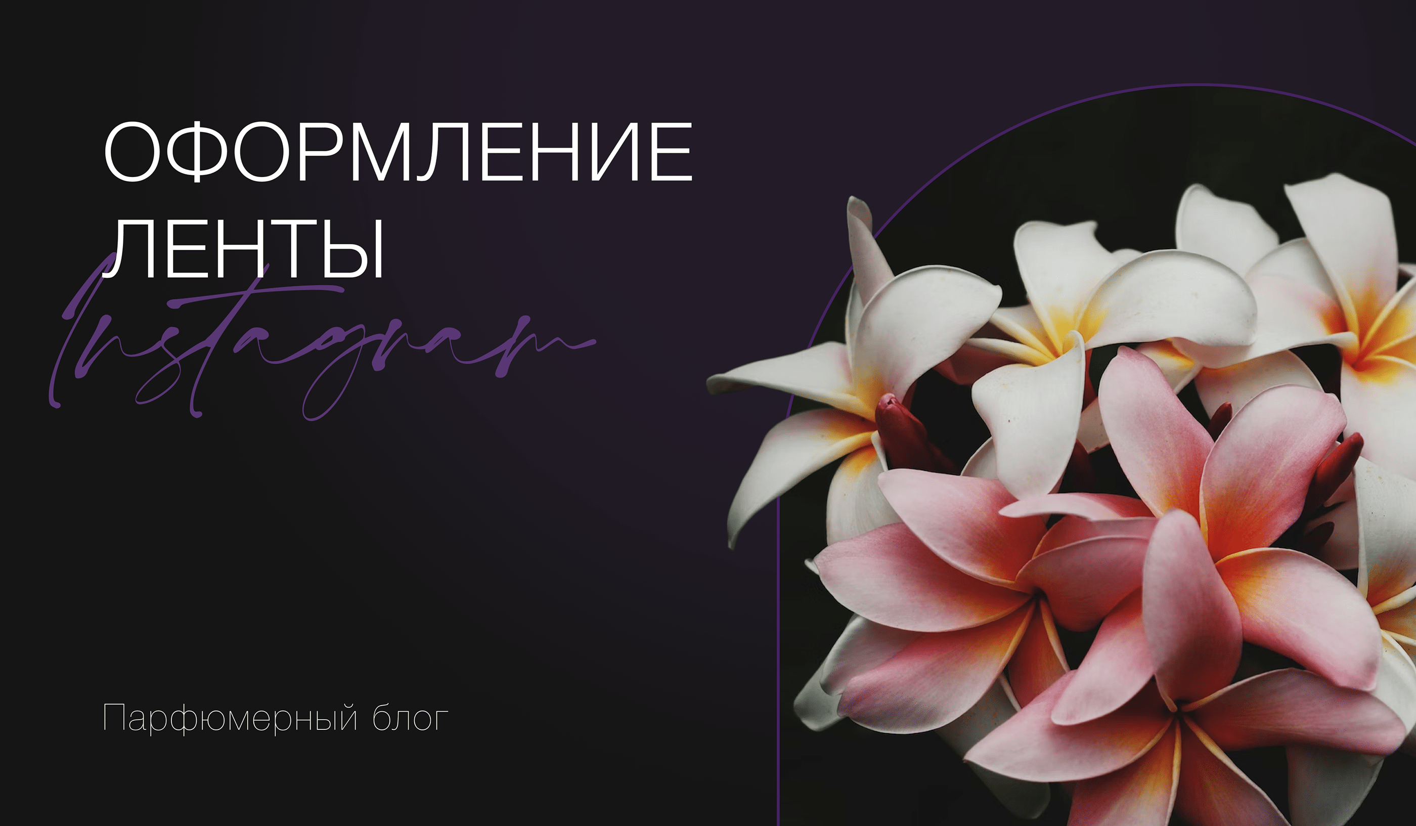 Лента Instagram | Парфюмерный блог — Изображение №1 — Брендинг, Маркетинг на Dprofile