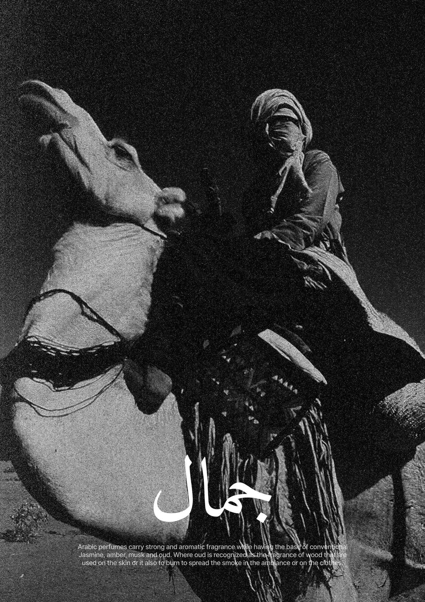 الجمال Jamal Perfume Campaign — Изображение №5 — Маркетинг на Dprofile