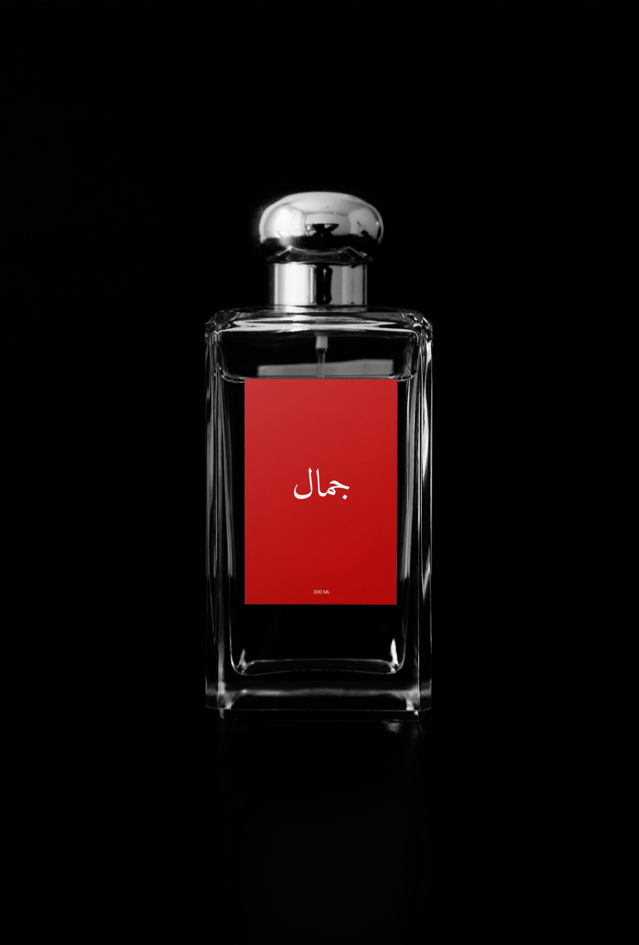 الجمال Jamal Perfume Campaign — Изображение №8 — Маркетинг на Dprofile