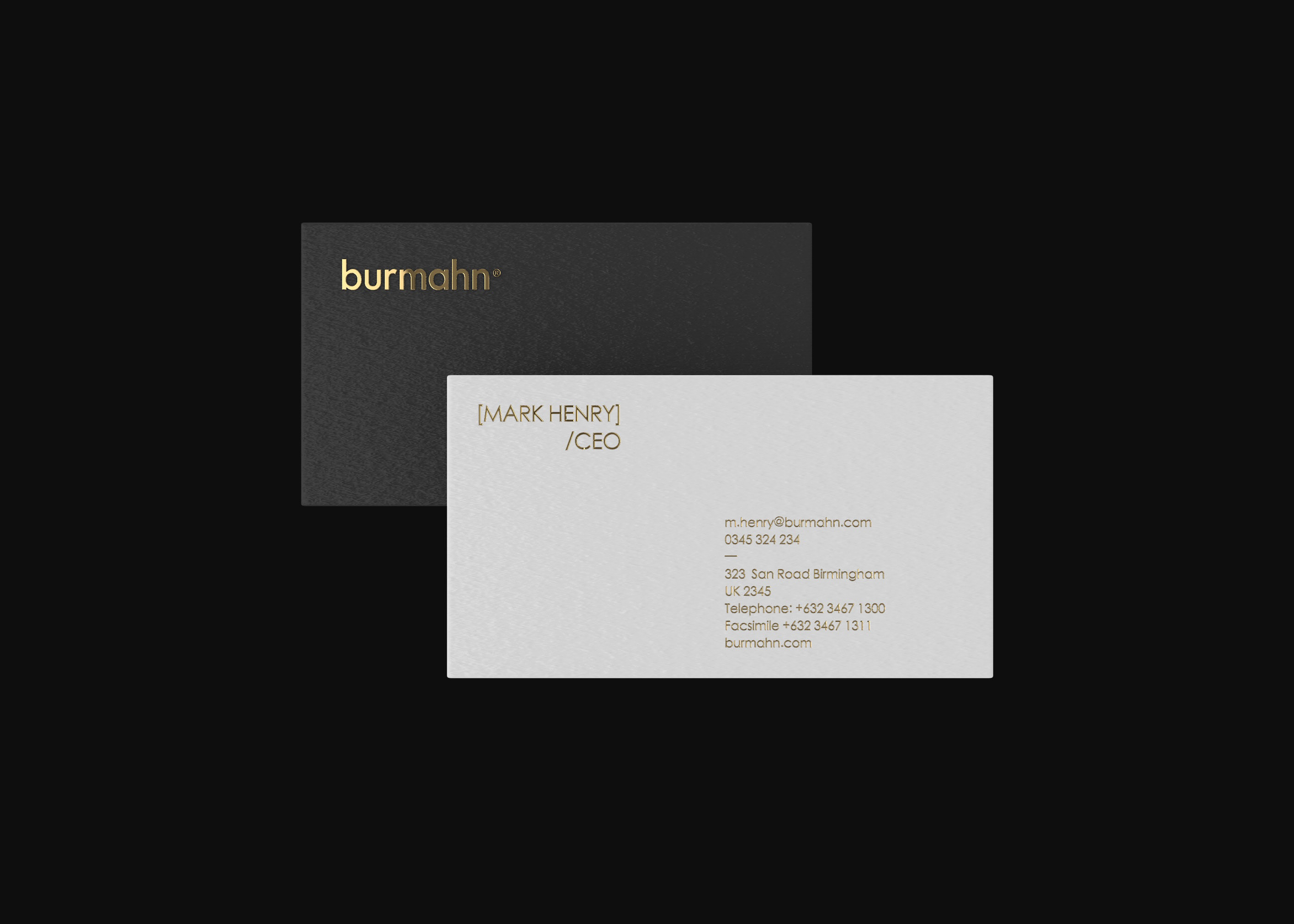 BURMAHN — Изображение №6 — Интерфейсы, Брендинг, 3D на Dprofile