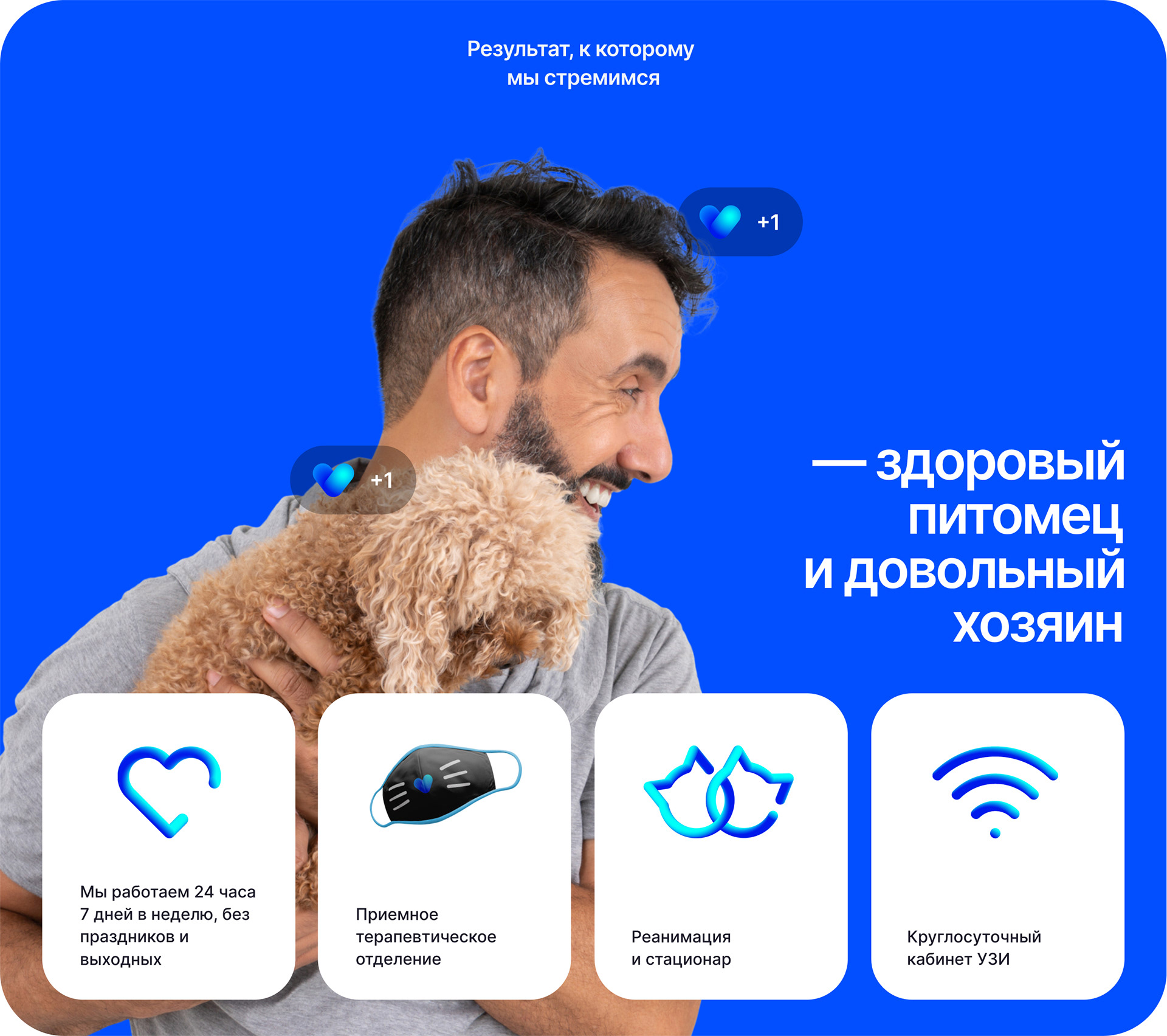 VETCITY — Изображение №20 — Интерфейсы, Брендинг, Анимация на Dprofile