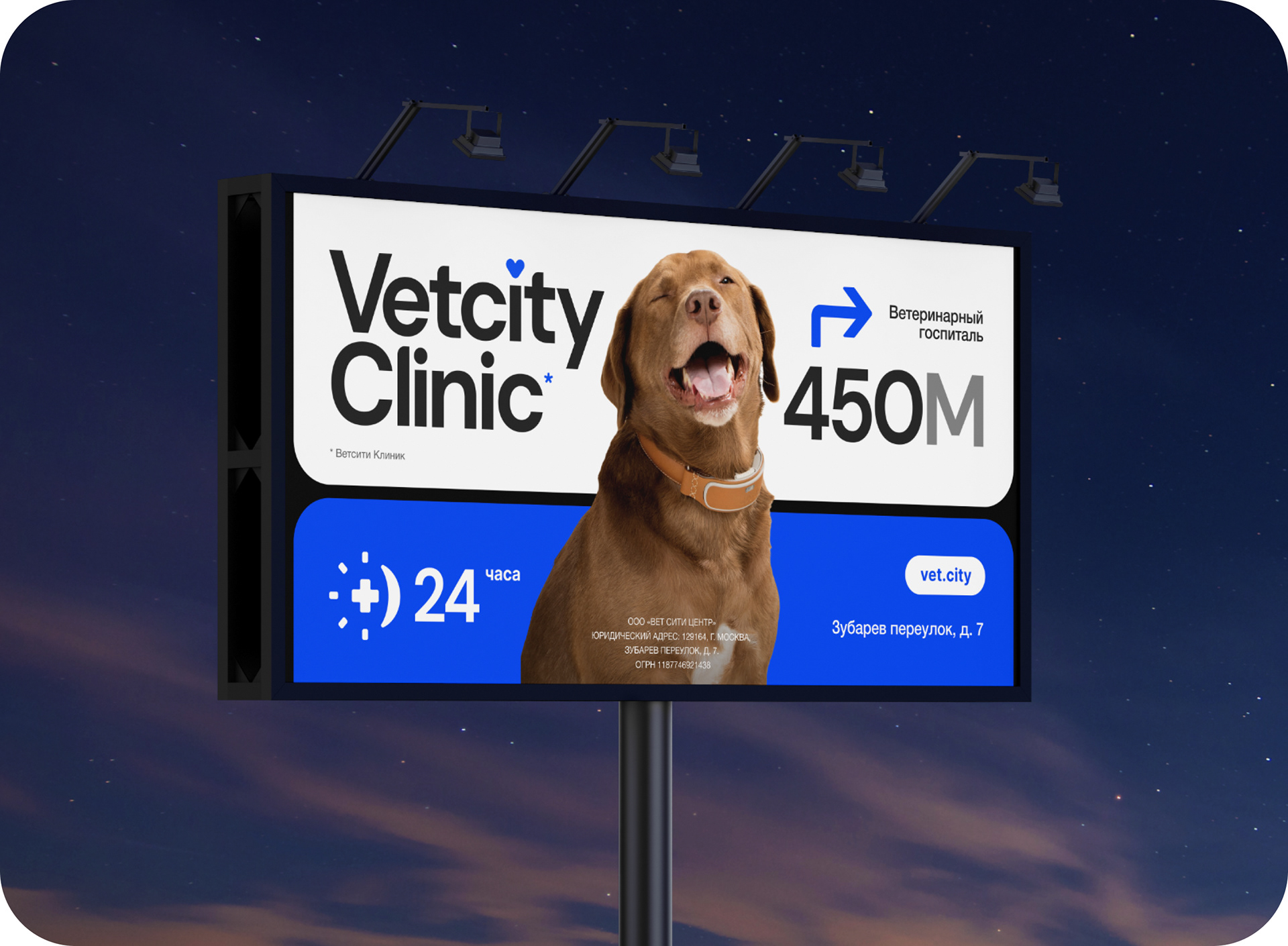 VETCITY — Изображение №30 — Интерфейсы, Брендинг, Анимация на Dprofile