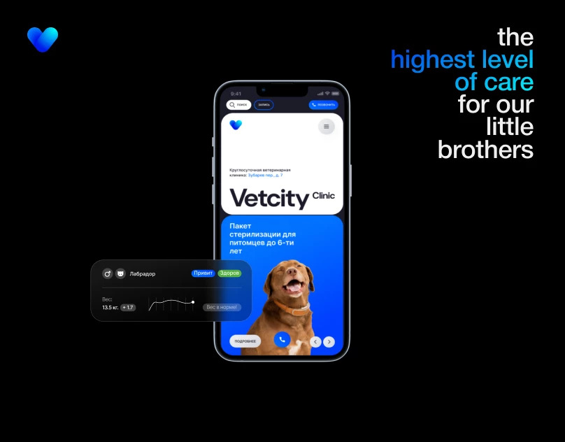 VETCITY — Интерфейсы, Брендинг, Анимация на Dprofile