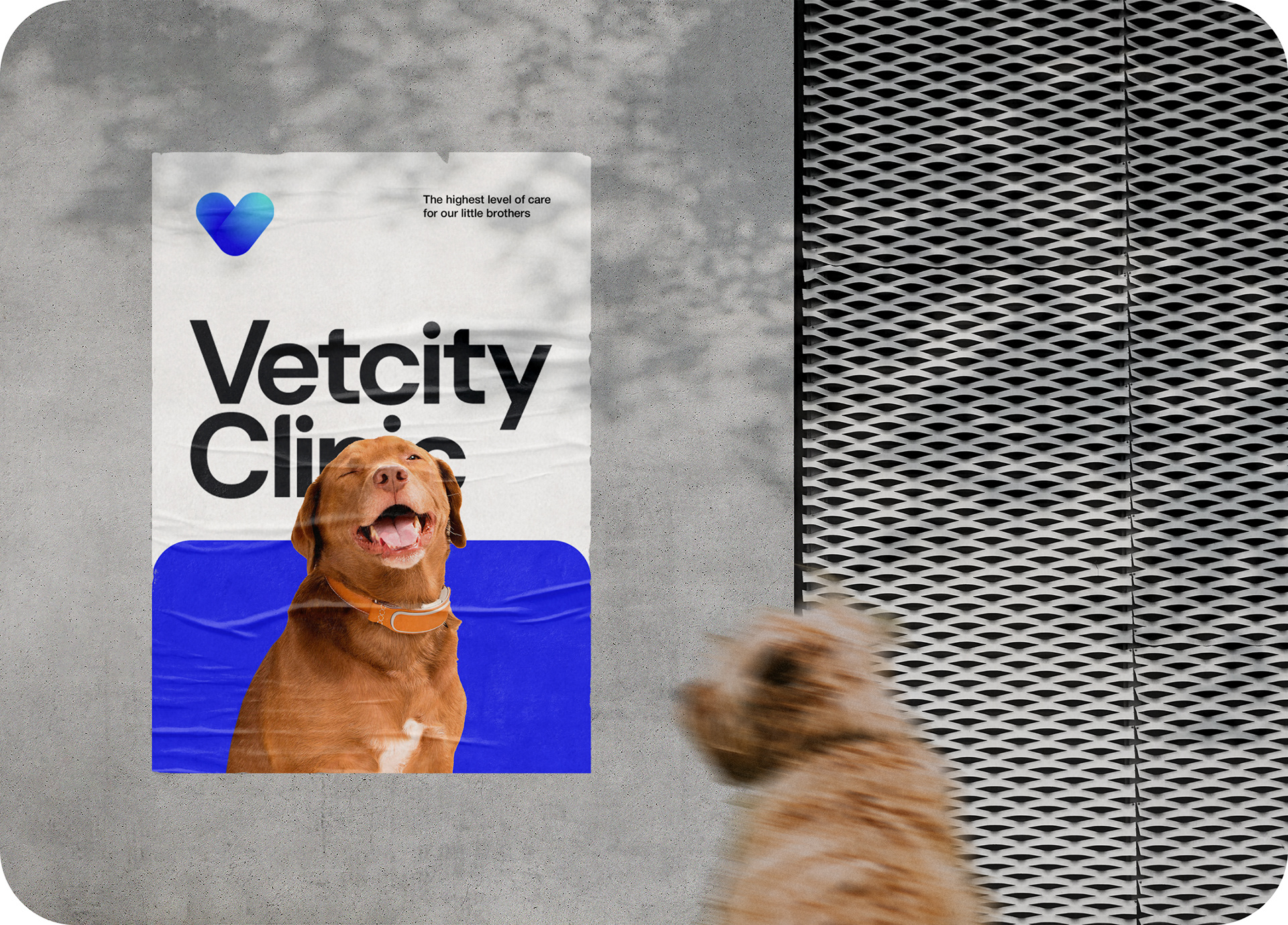 VETCITY — Изображение №11 — Интерфейсы, Брендинг, Анимация на Dprofile