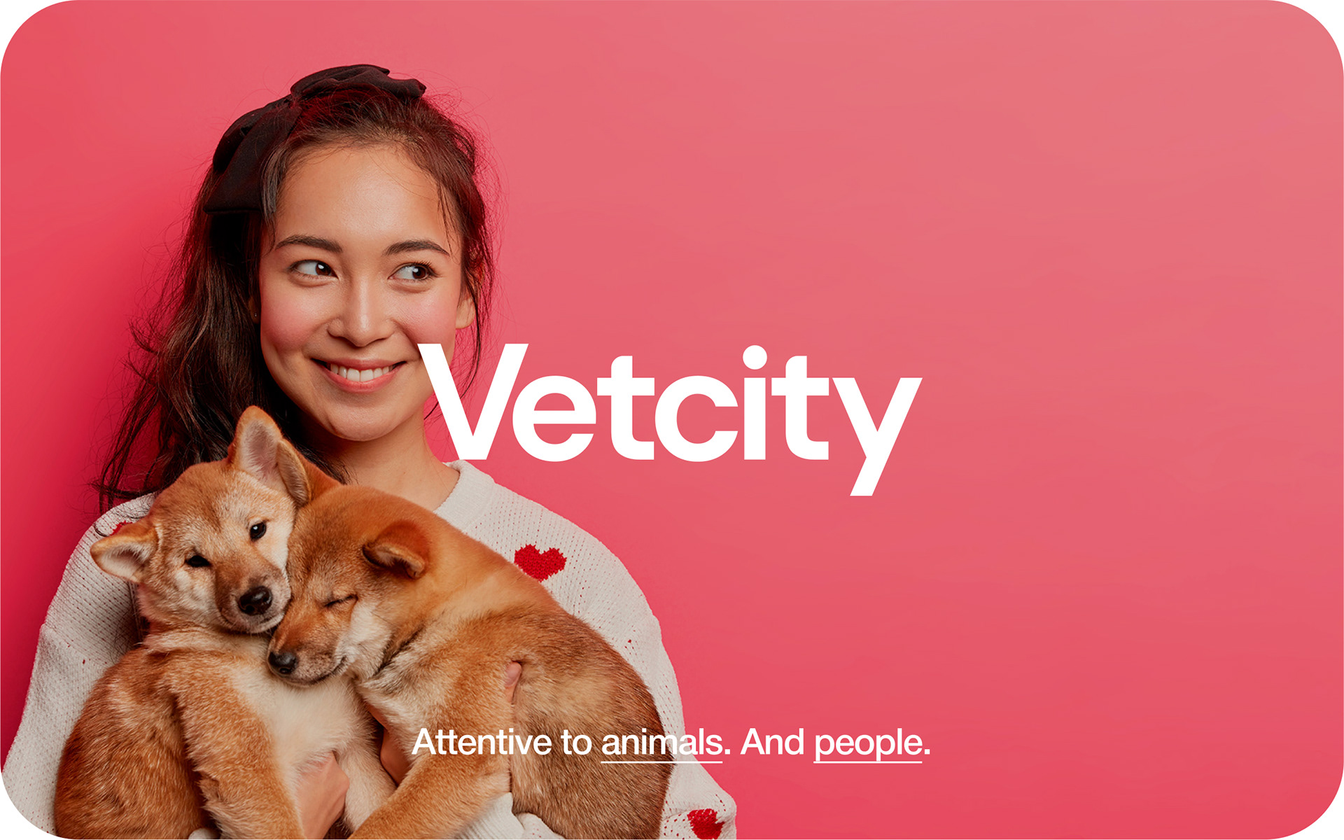VETCITY — Изображение №2 — Интерфейсы, Брендинг, Анимация на Dprofile