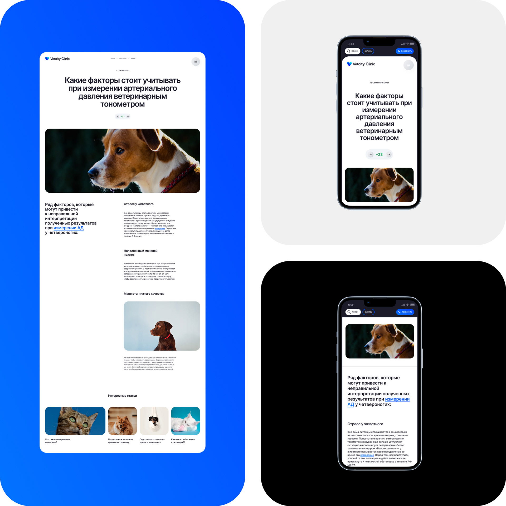 VETCITY — Изображение №23 — Интерфейсы, Брендинг, Анимация на Dprofile