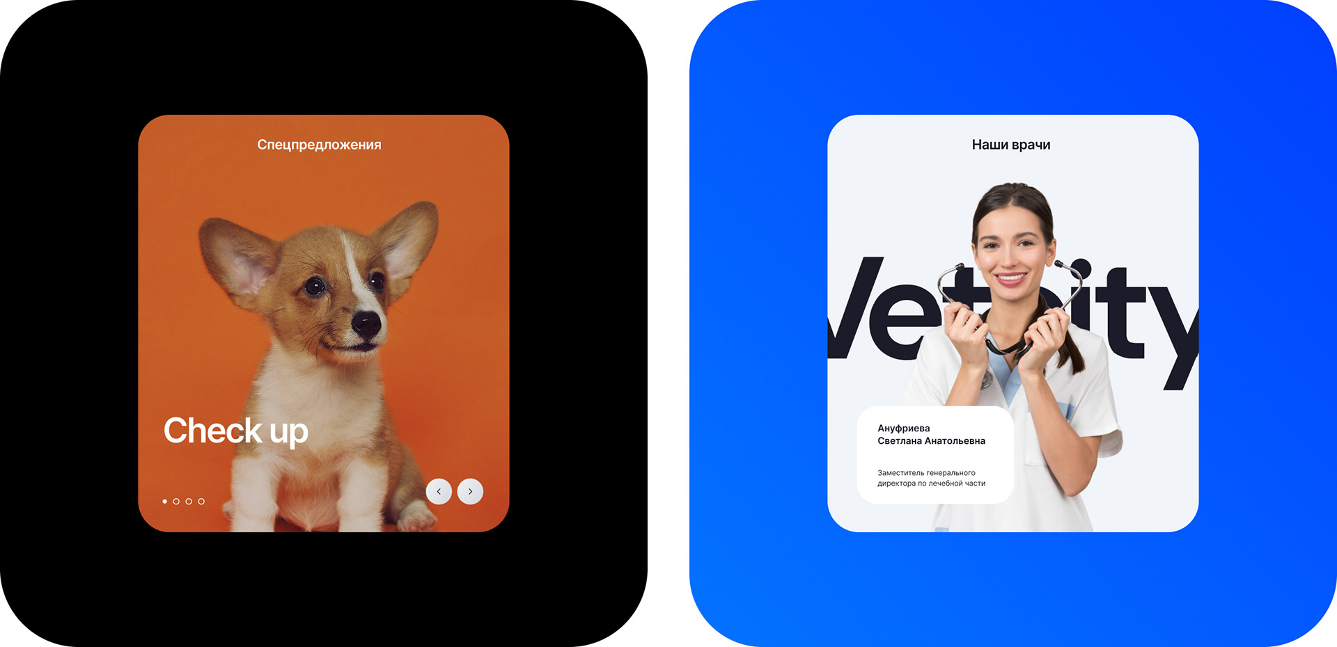 VETCITY — Изображение №16 — Интерфейсы, Брендинг, Анимация на Dprofile