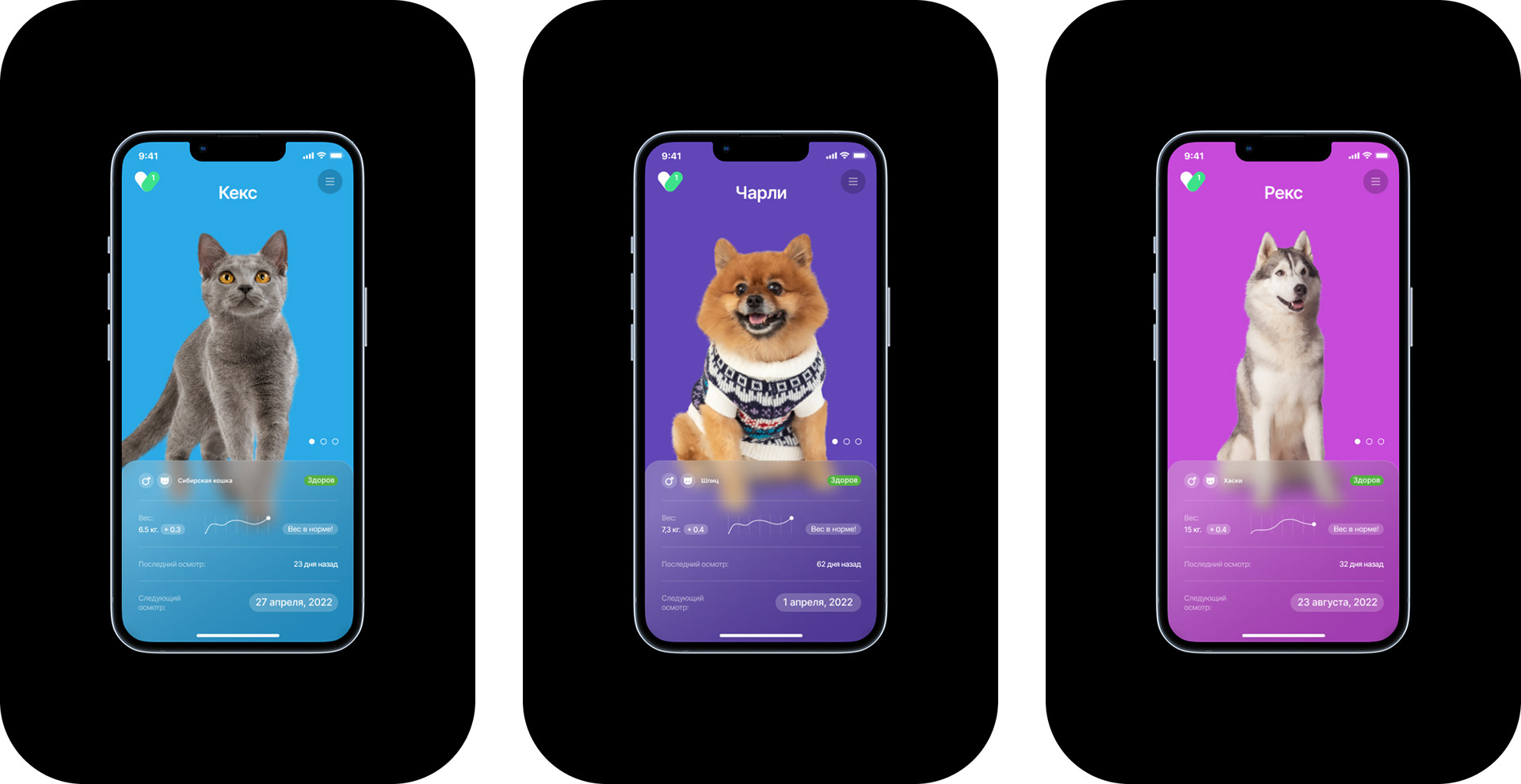 VETCITY — Изображение №29 — Интерфейсы, Брендинг, Анимация на Dprofile