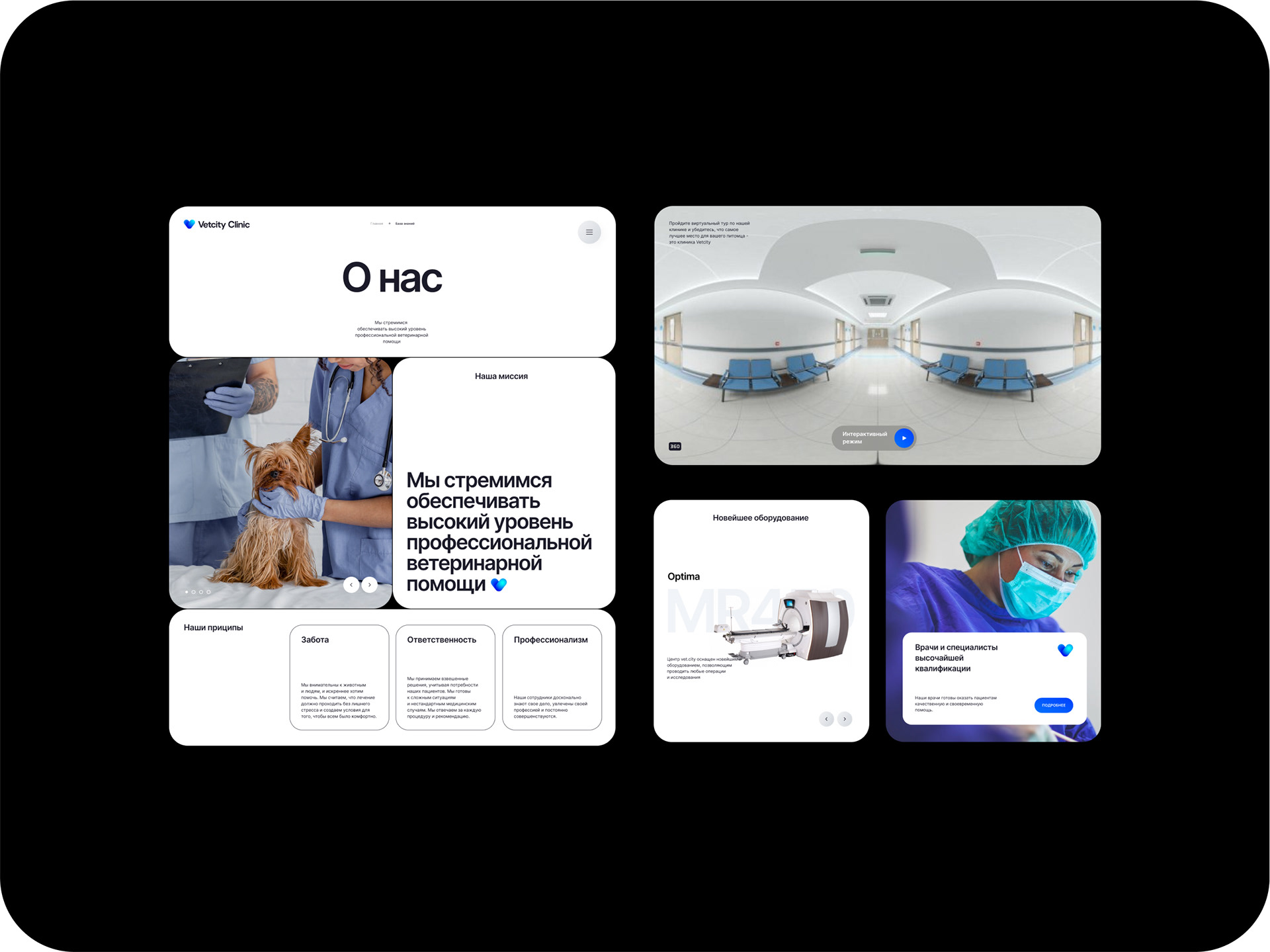 VETCITY — Изображение №19 — Интерфейсы, Брендинг, Анимация на Dprofile