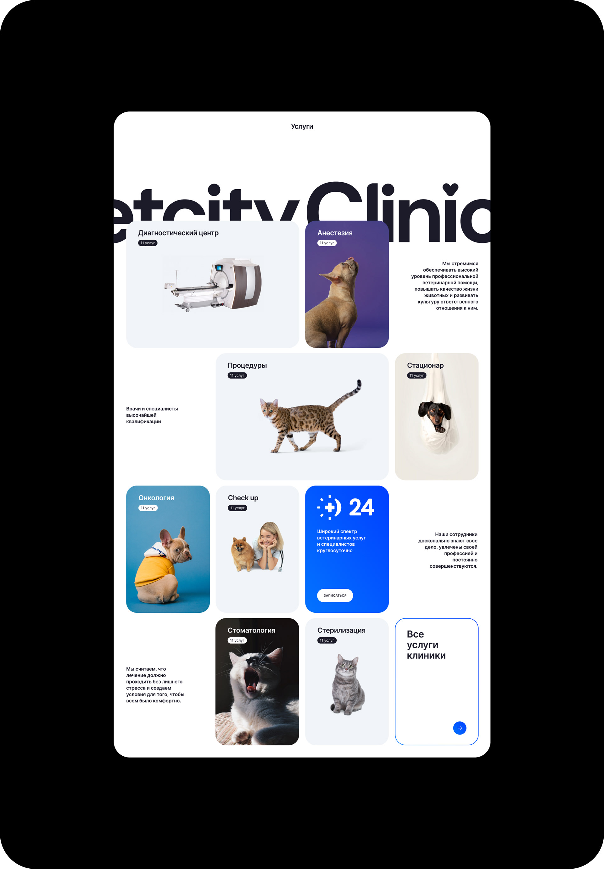 VETCITY — Изображение №15 — Интерфейсы, Брендинг, Анимация на Dprofile