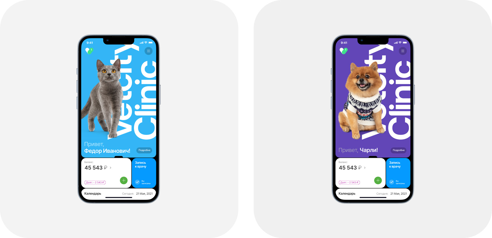 VETCITY — Изображение №27 — Интерфейсы, Брендинг, Анимация на Dprofile