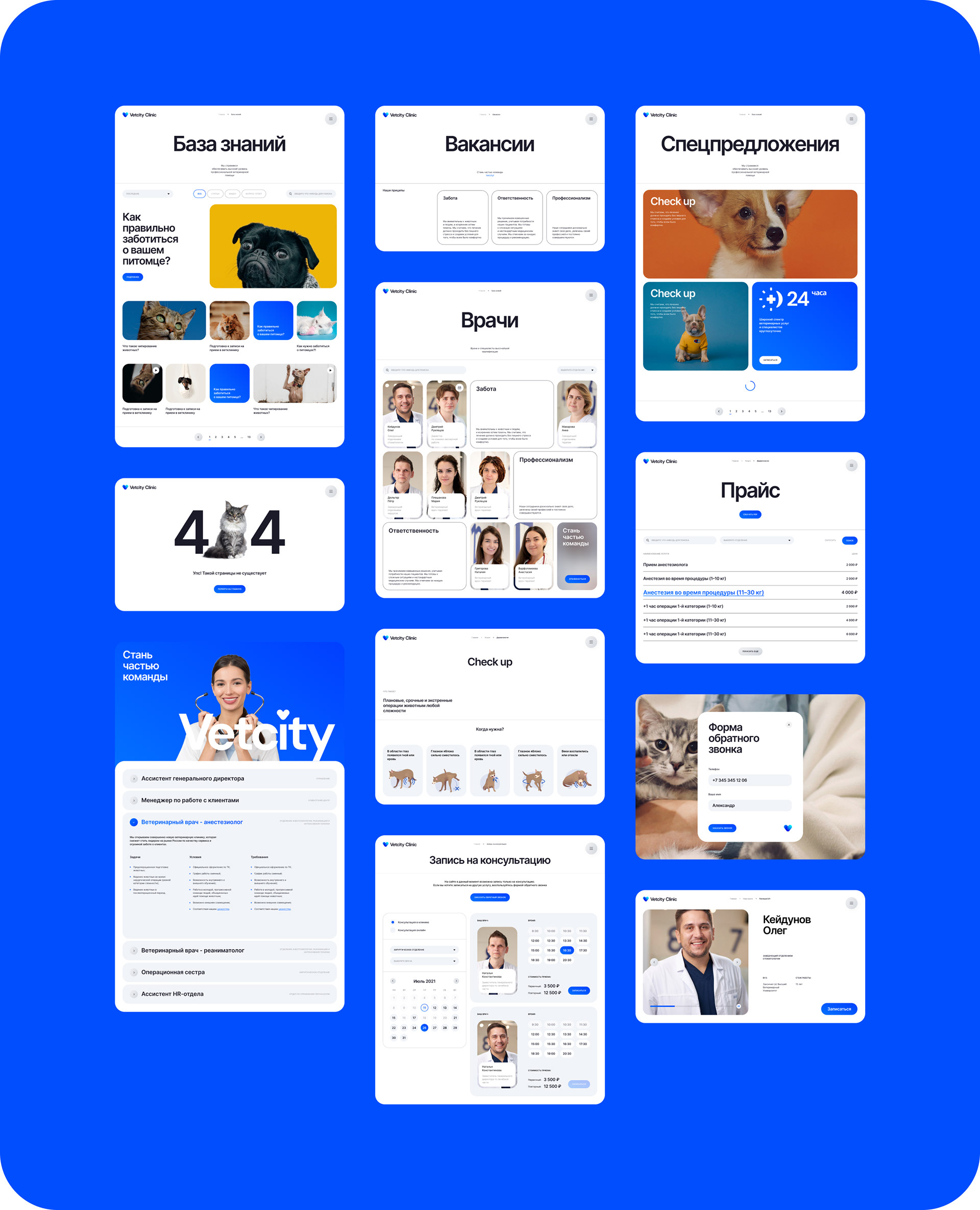 VETCITY — Изображение №25 — Интерфейсы, Брендинг, Анимация на Dprofile