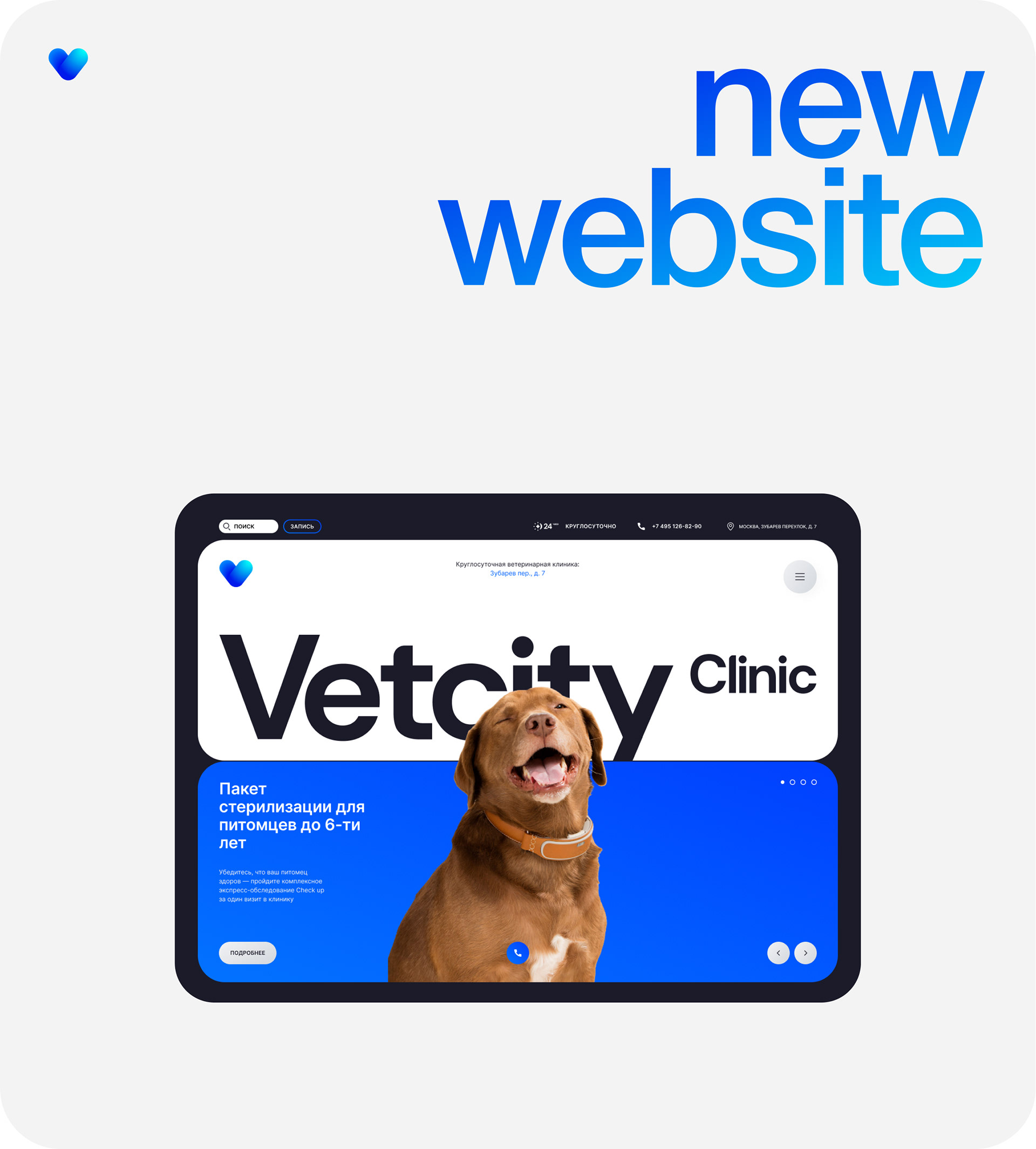 VETCITY — Изображение №14 — Интерфейсы, Брендинг, Анимация на Dprofile