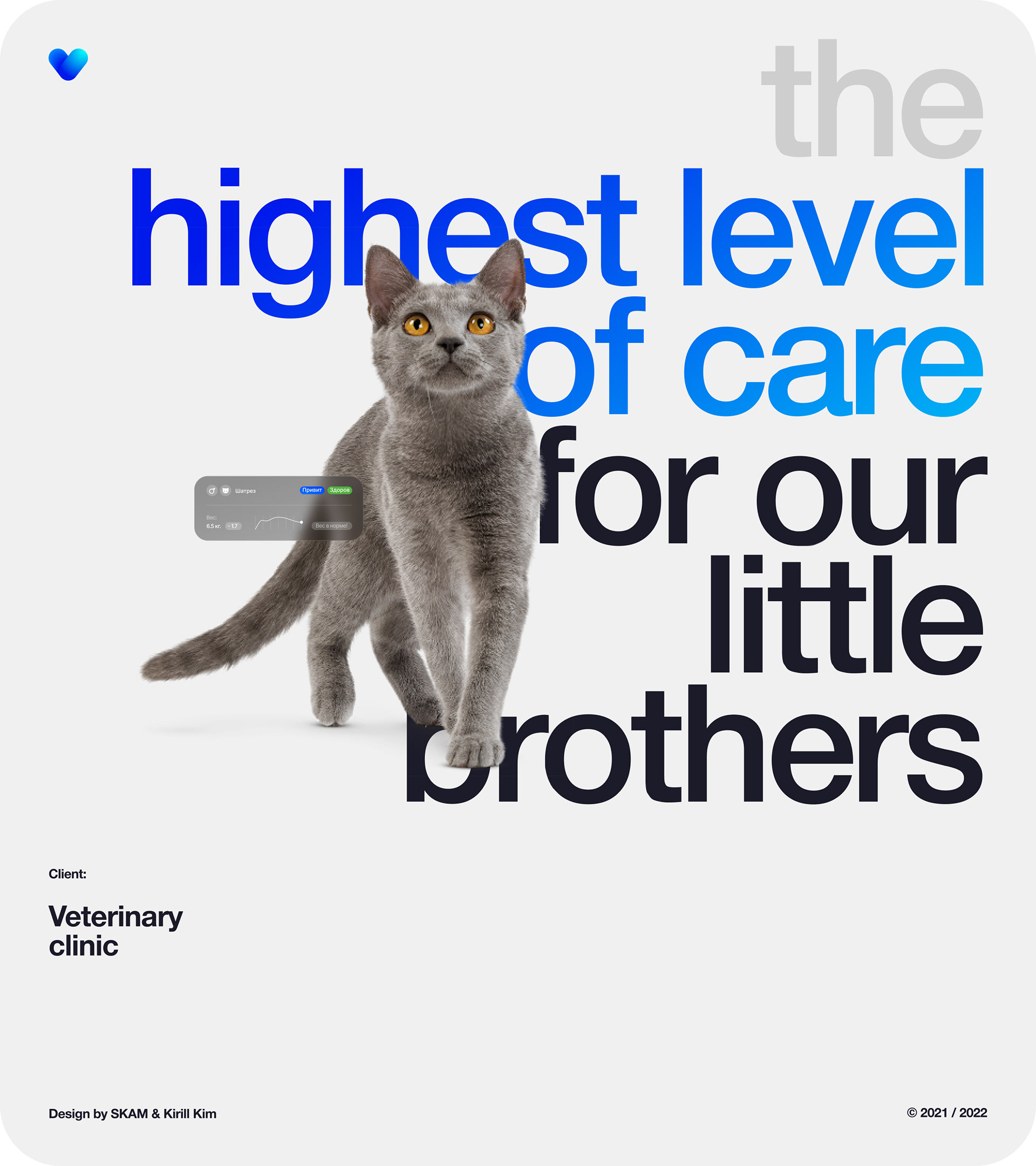 VETCITY — Изображение №1 — Интерфейсы, Брендинг, Анимация на Dprofile