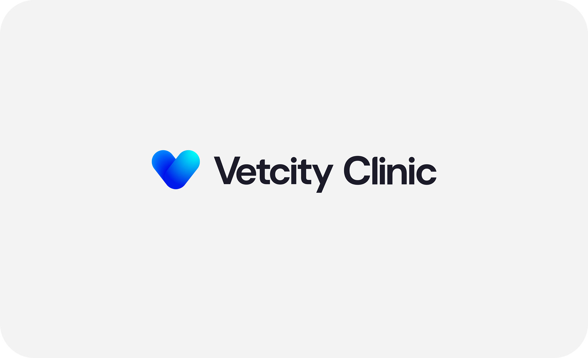 VETCITY — Изображение №6 — Интерфейсы, Брендинг, Анимация на Dprofile