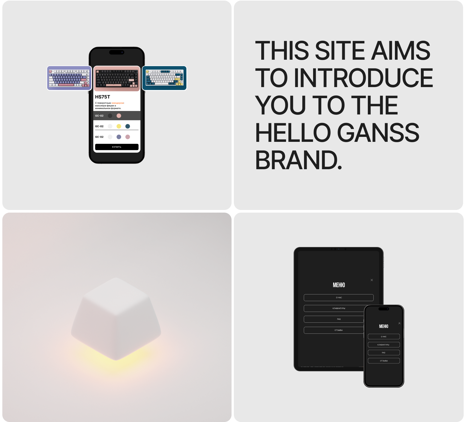 HELLO GANSS | LANDING PAGE — Изображение №3 — Интерфейсы, Брендинг на Dprofile