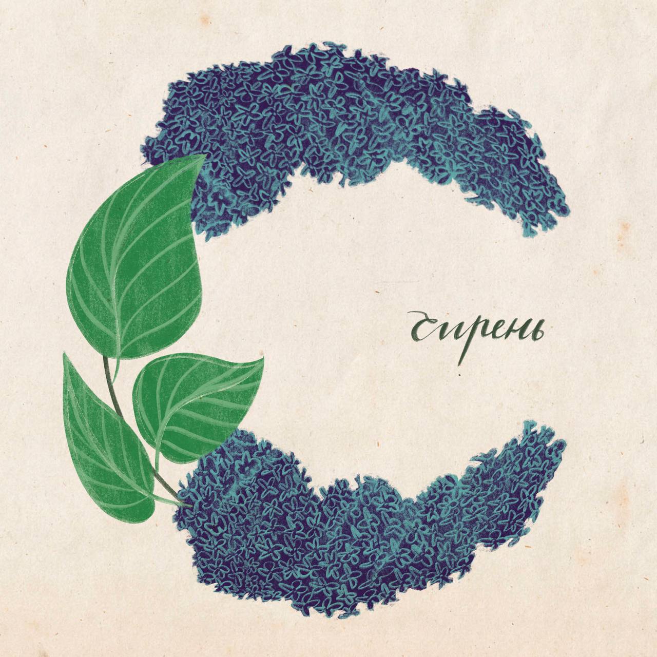 Цветочный алфавит — Изображение №9 — Иллюстрация на Dprofile
