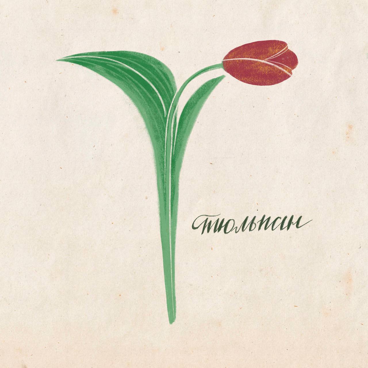 Цветочный алфавит — Изображение №10 — Иллюстрация на Dprofile