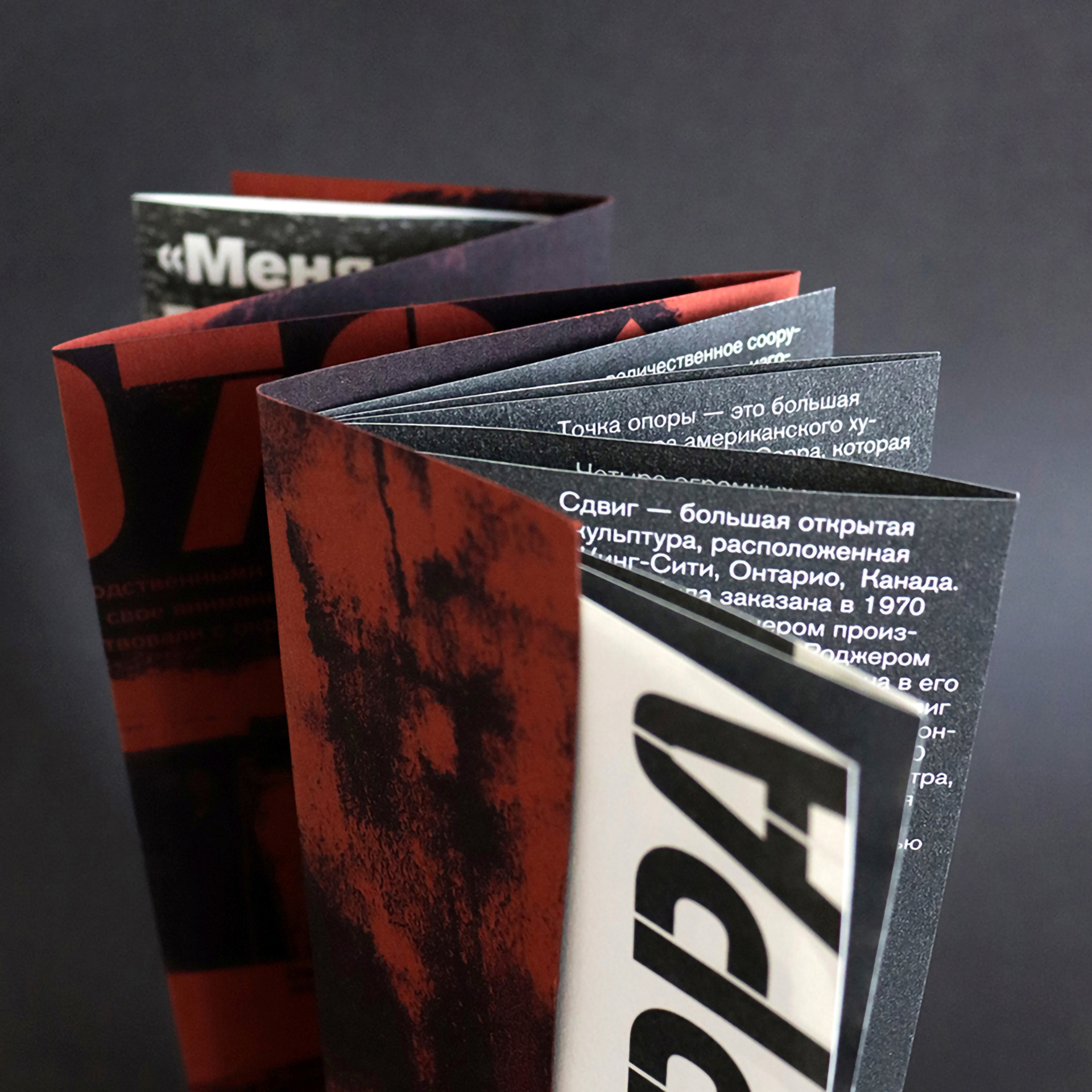 Booklet Richard Serra — Изображение №5 — Брендинг, Иллюстрация на Dprofile