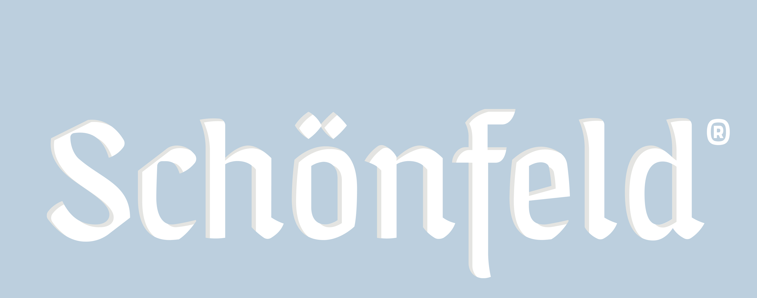 Schönfeld — Изображение №37 — Брендинг на Dprofile
