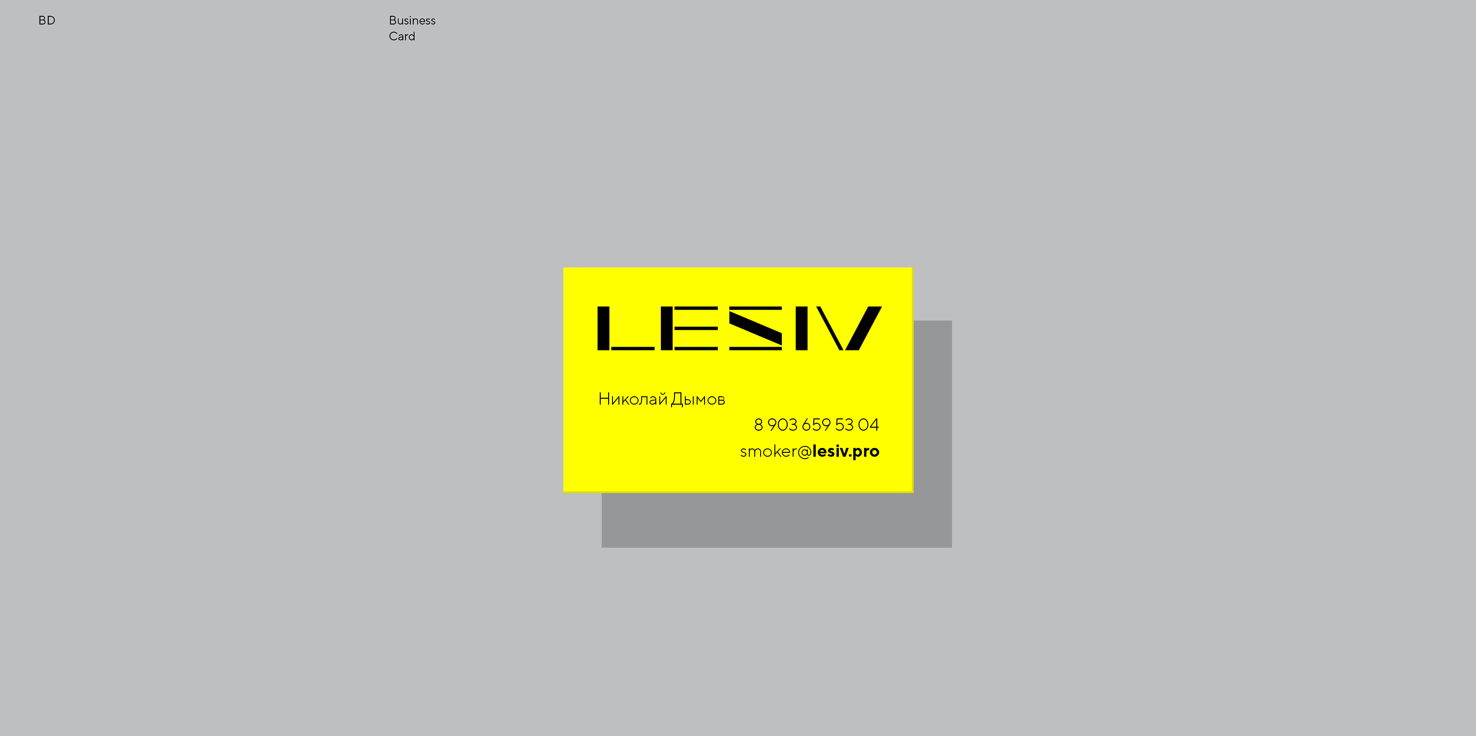 LESIV — Изображение №12 — Брендинг на Dprofile