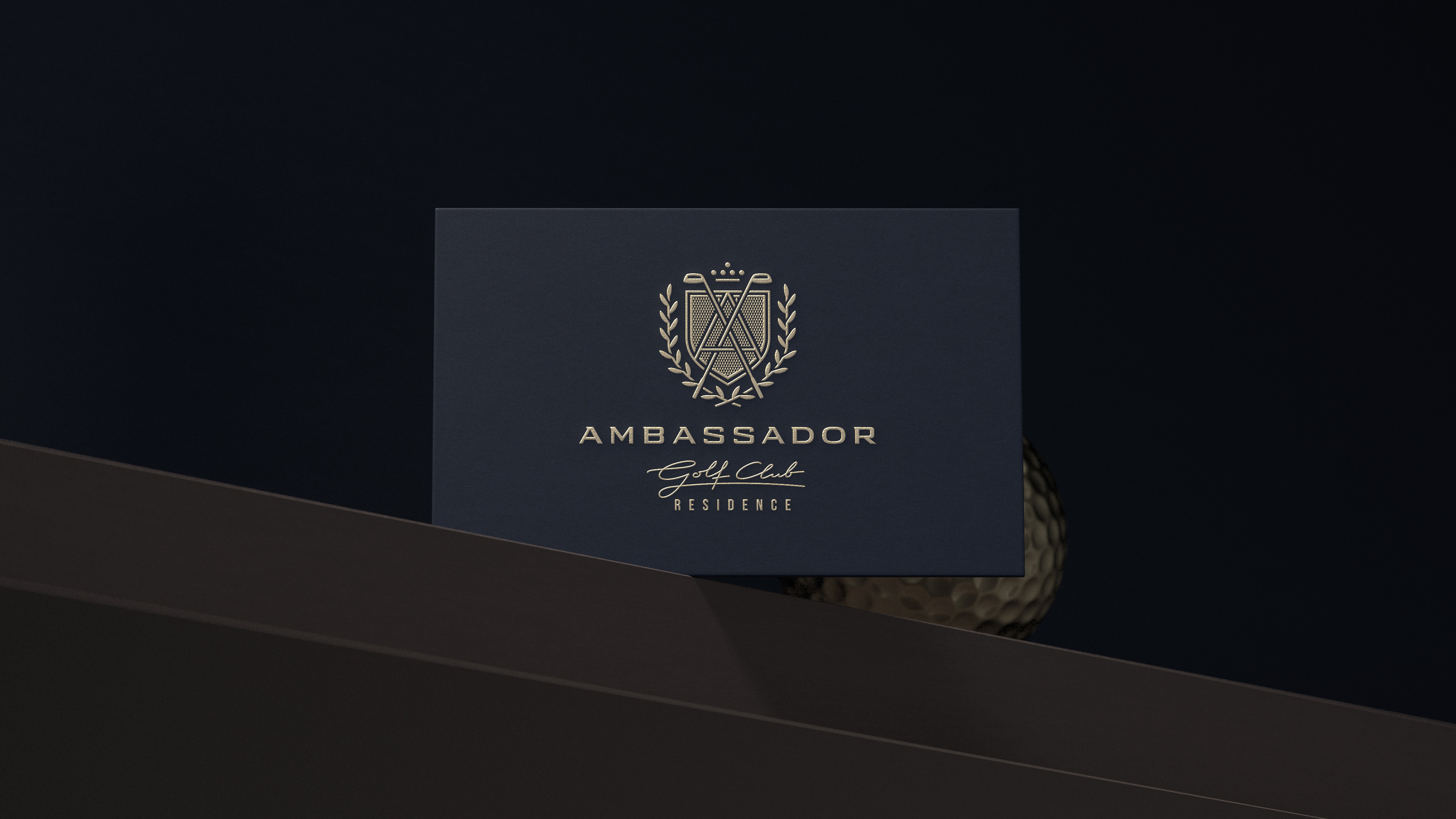 Ambassador — Изображение №17 — Брендинг на Dprofile