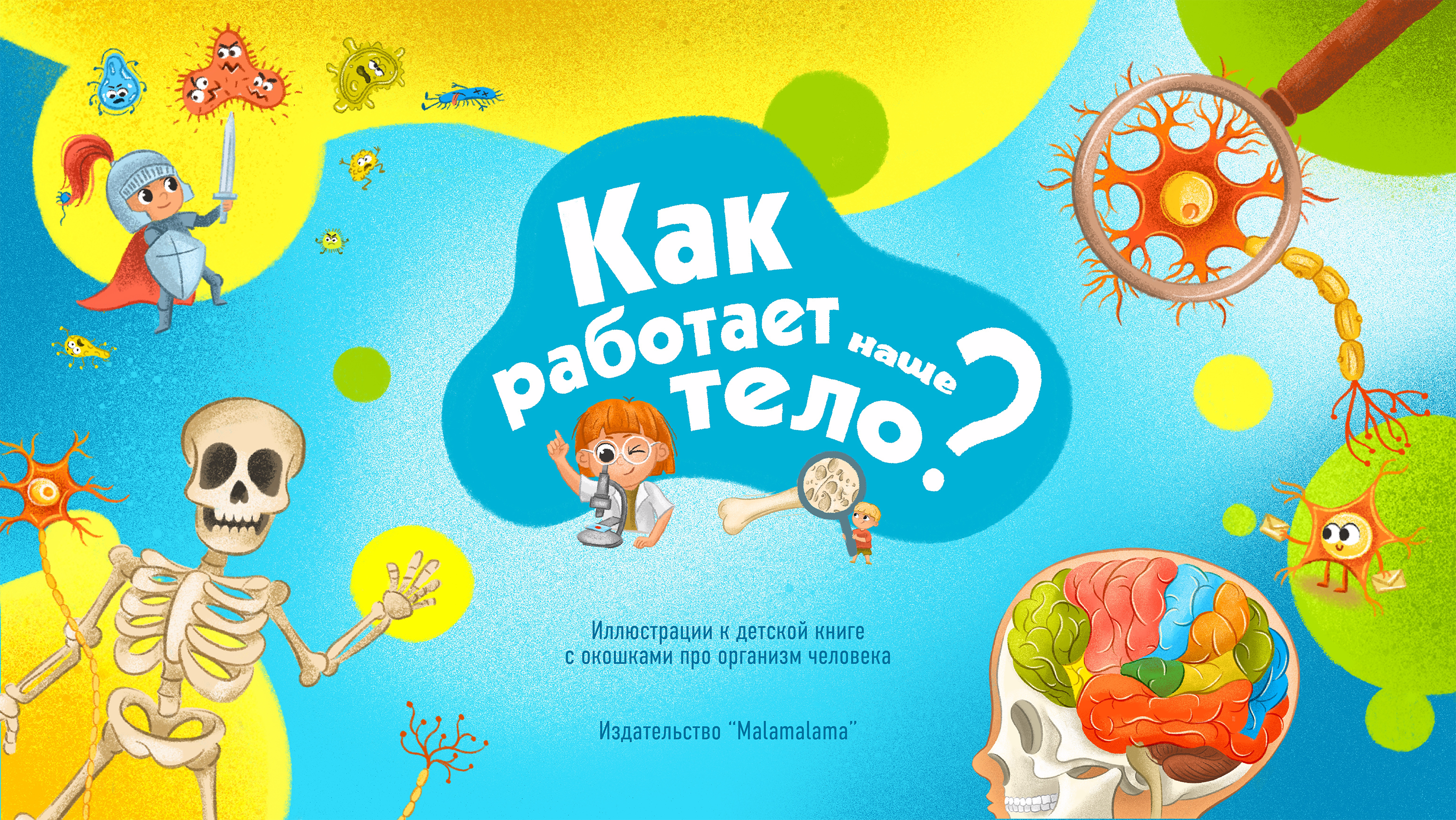 Детская книга с окошками про анатомию человека — Изображение №1 — Иллюстрация, Графика на Dprofile