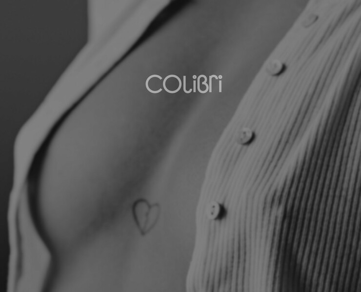 Логотип | Colibri — Графика на Dprofile