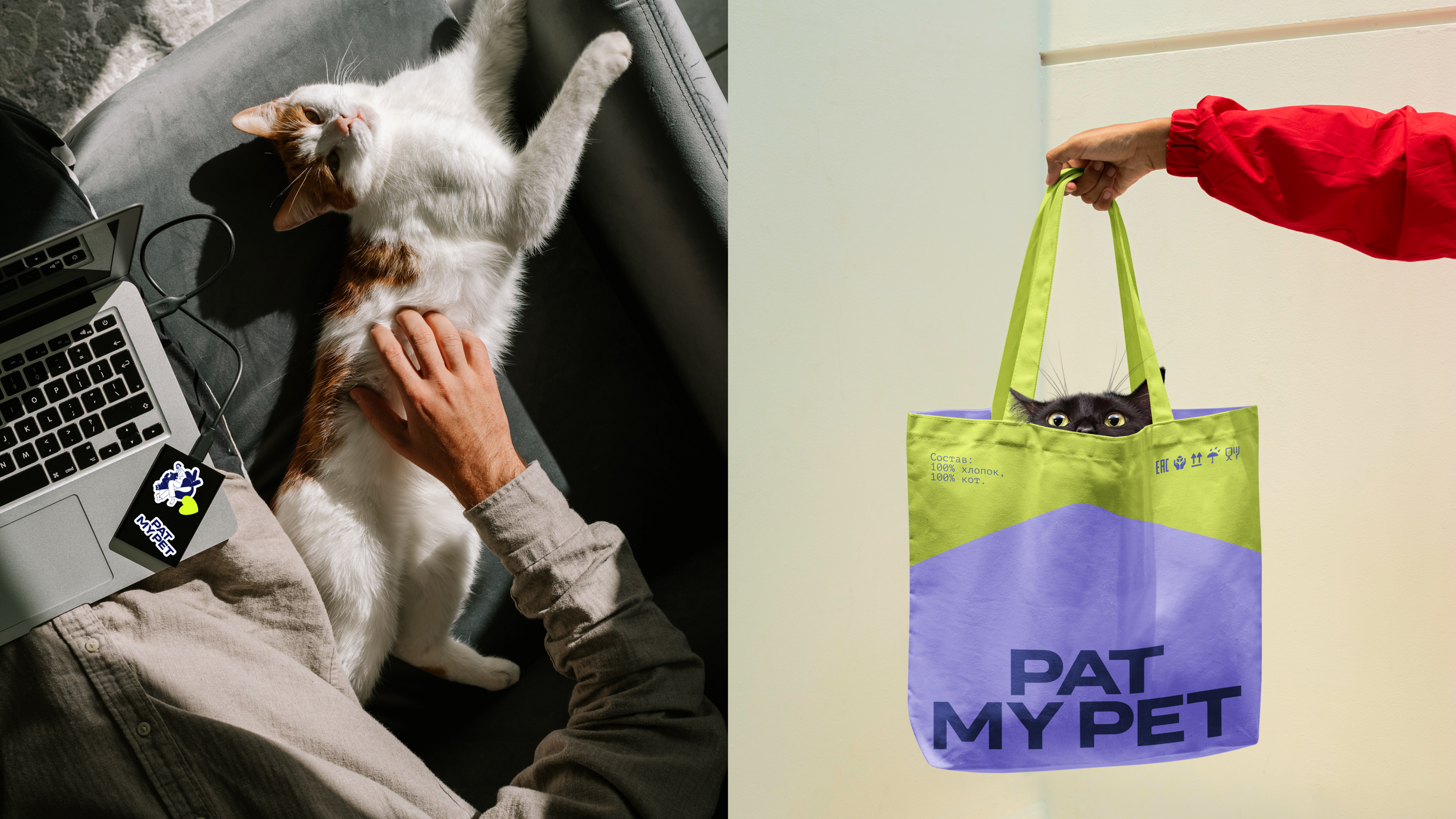 Pat My Pet — Изображение №8 — Брендинг, Иллюстрация на Dprofile