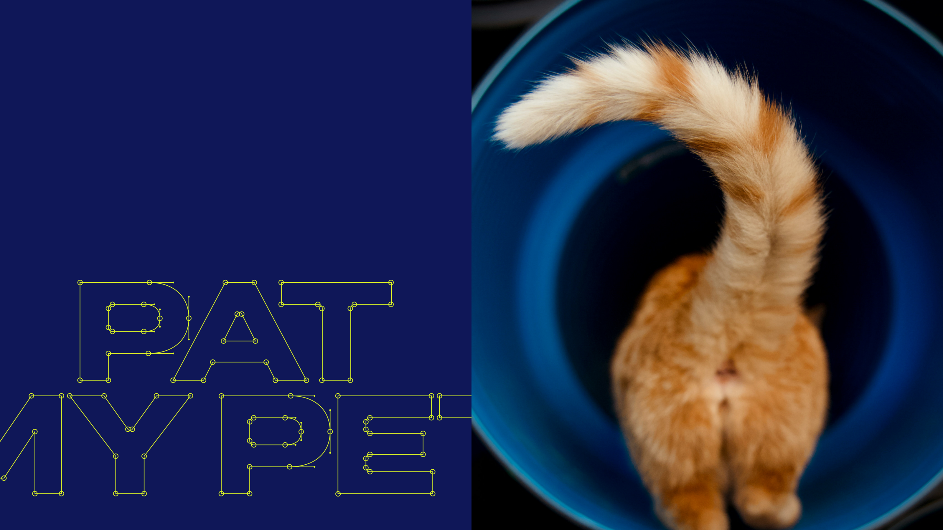 Pat My Pet — Изображение №4 — Брендинг, Иллюстрация на Dprofile