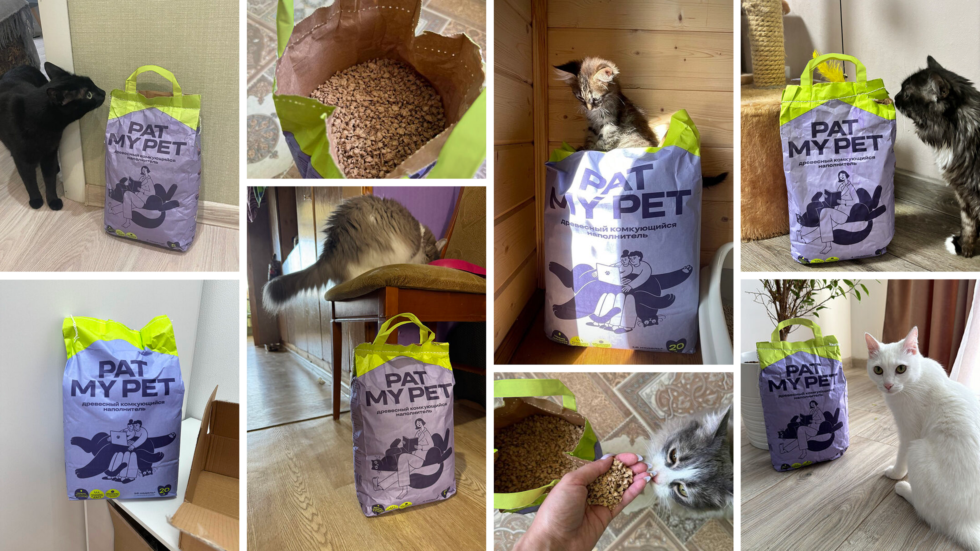 Pat My Pet — Изображение №14 — Брендинг, Иллюстрация на Dprofile