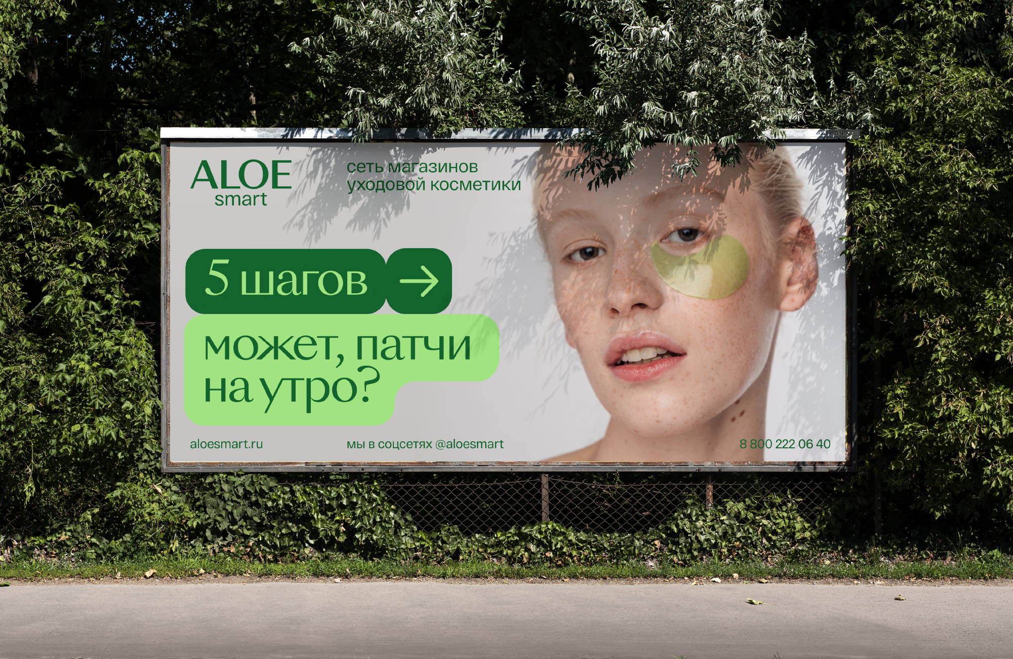 ALOEsmart — Изображение №5 — Брендинг, Иллюстрация на Dprofile