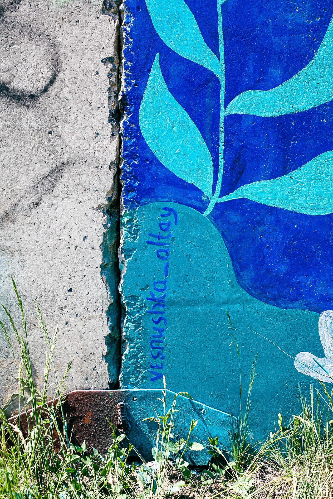 Street mural in Altay — Изображение №15 — Иллюстрация, Графика на Dprofile